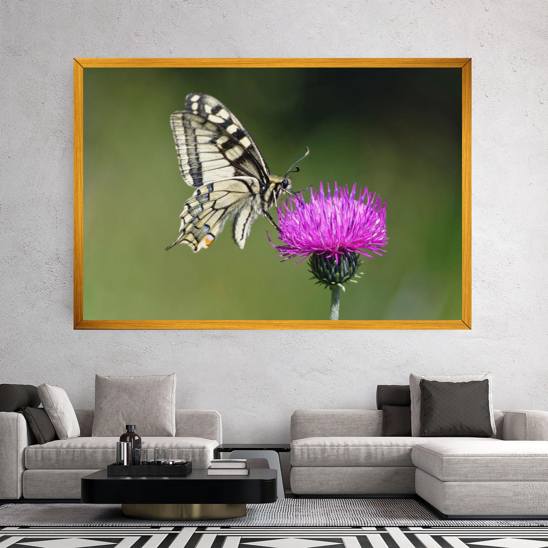 Leinwandbild White Butterfly Pollen mockup 2