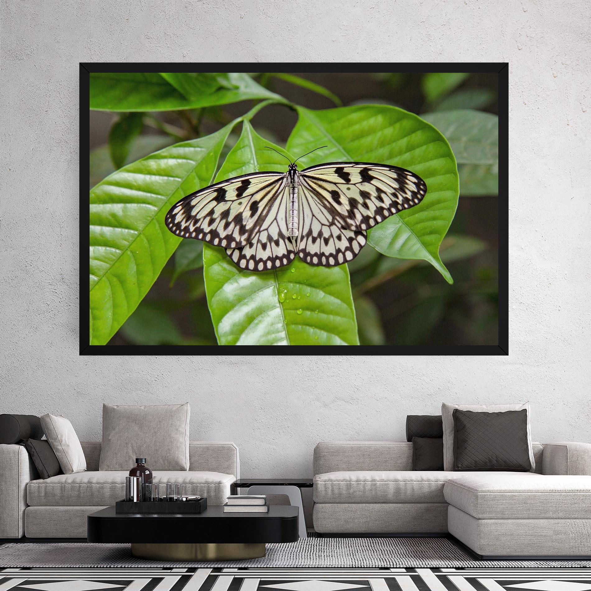 Leinwandbild Beautiful White Butterfly mockup 2