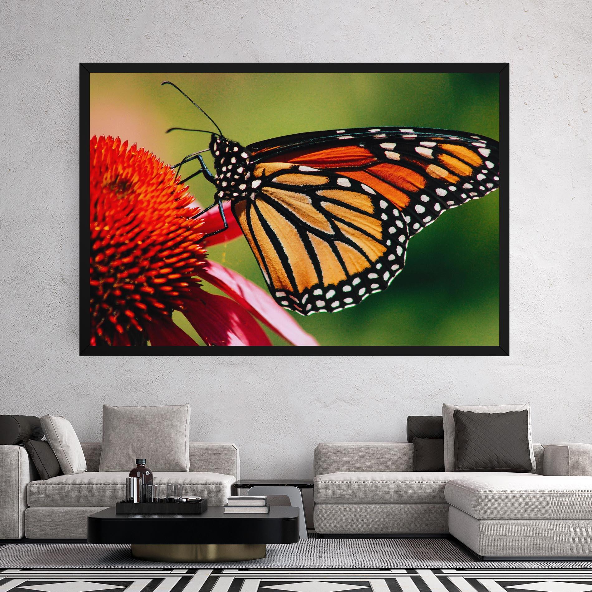 Leinwandbild Big Orange Butterfly mockup 2