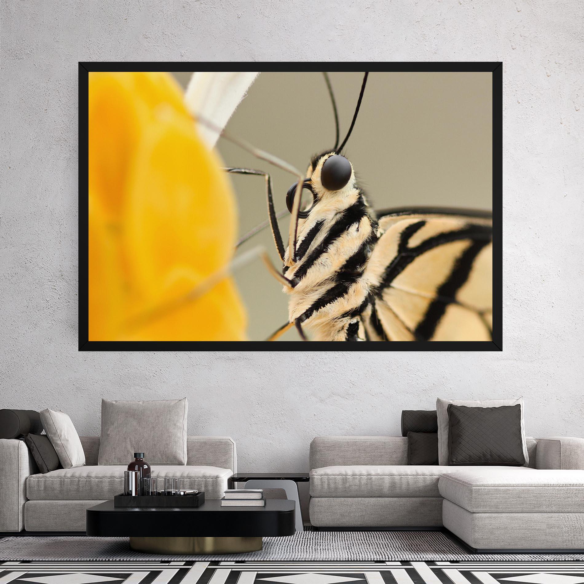 Leinwandbild Close Up Cream Butterfly mockup 2