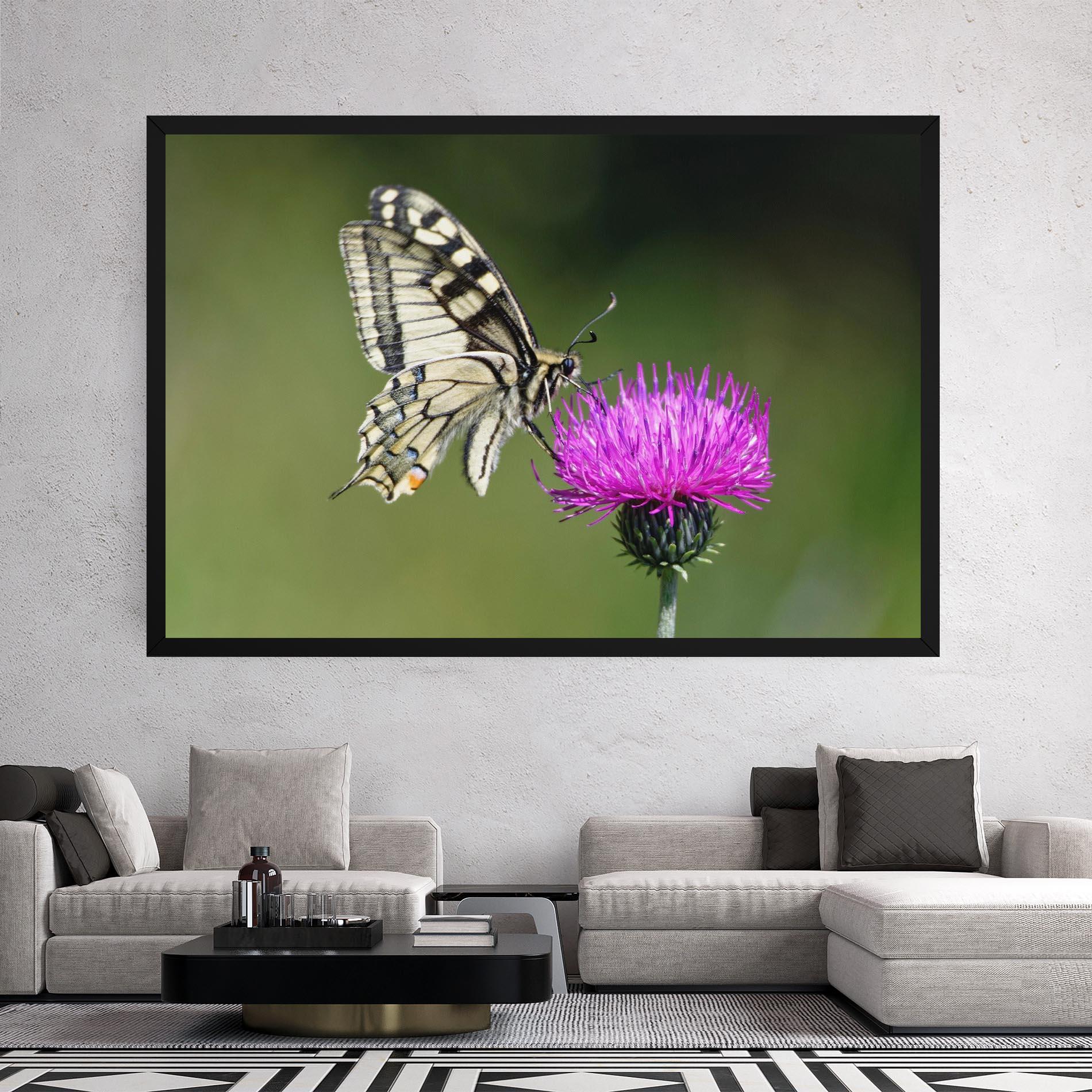 Leinwandbild White Butterfly Pollen mockup 2