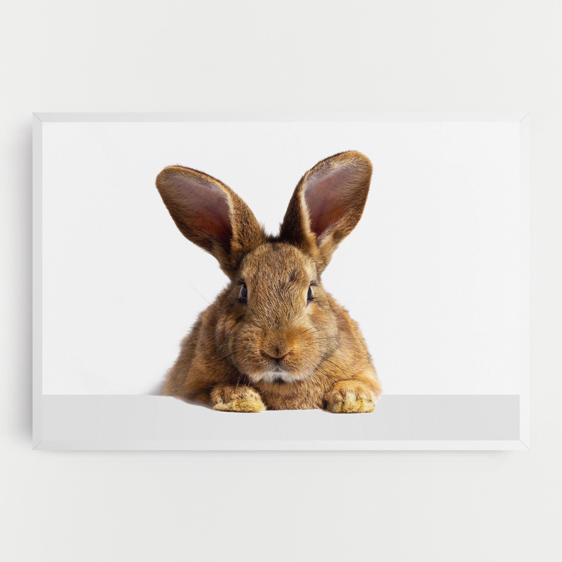 Brown Cute Bunny mockup 0
