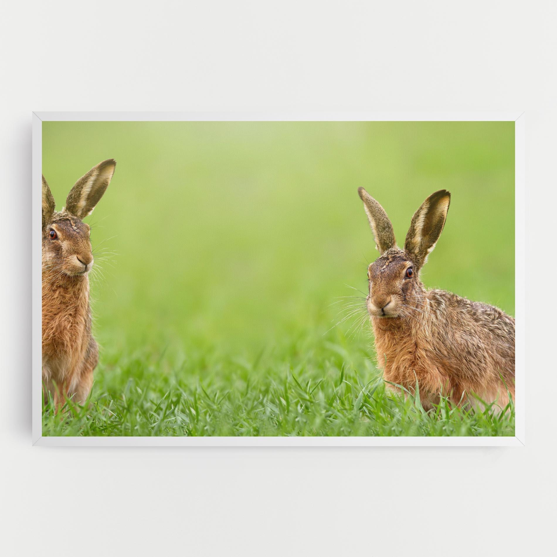 Leinwandbild Brown Hares mockup 0