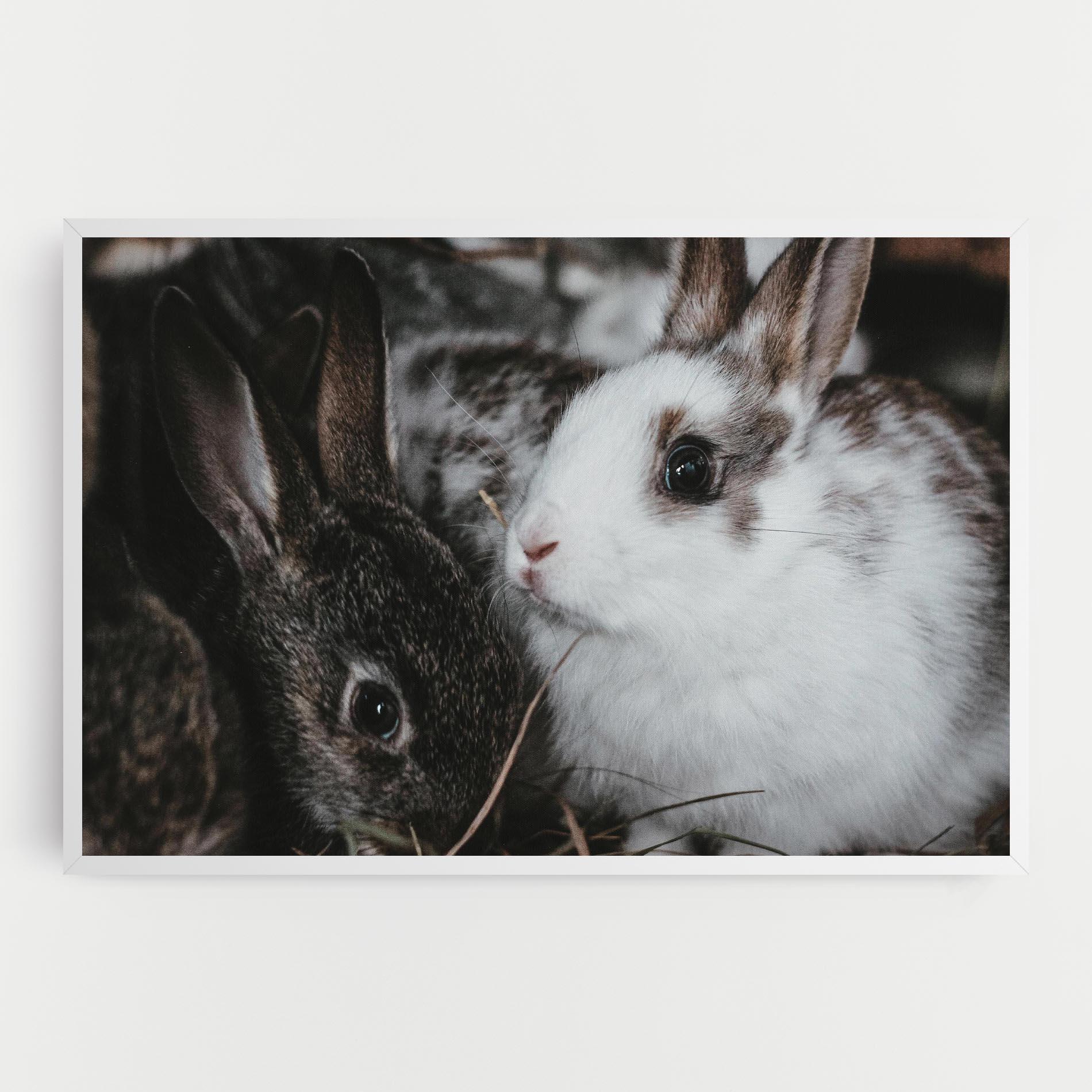 Leinwandbild Cute Small Rabbit mockup 0