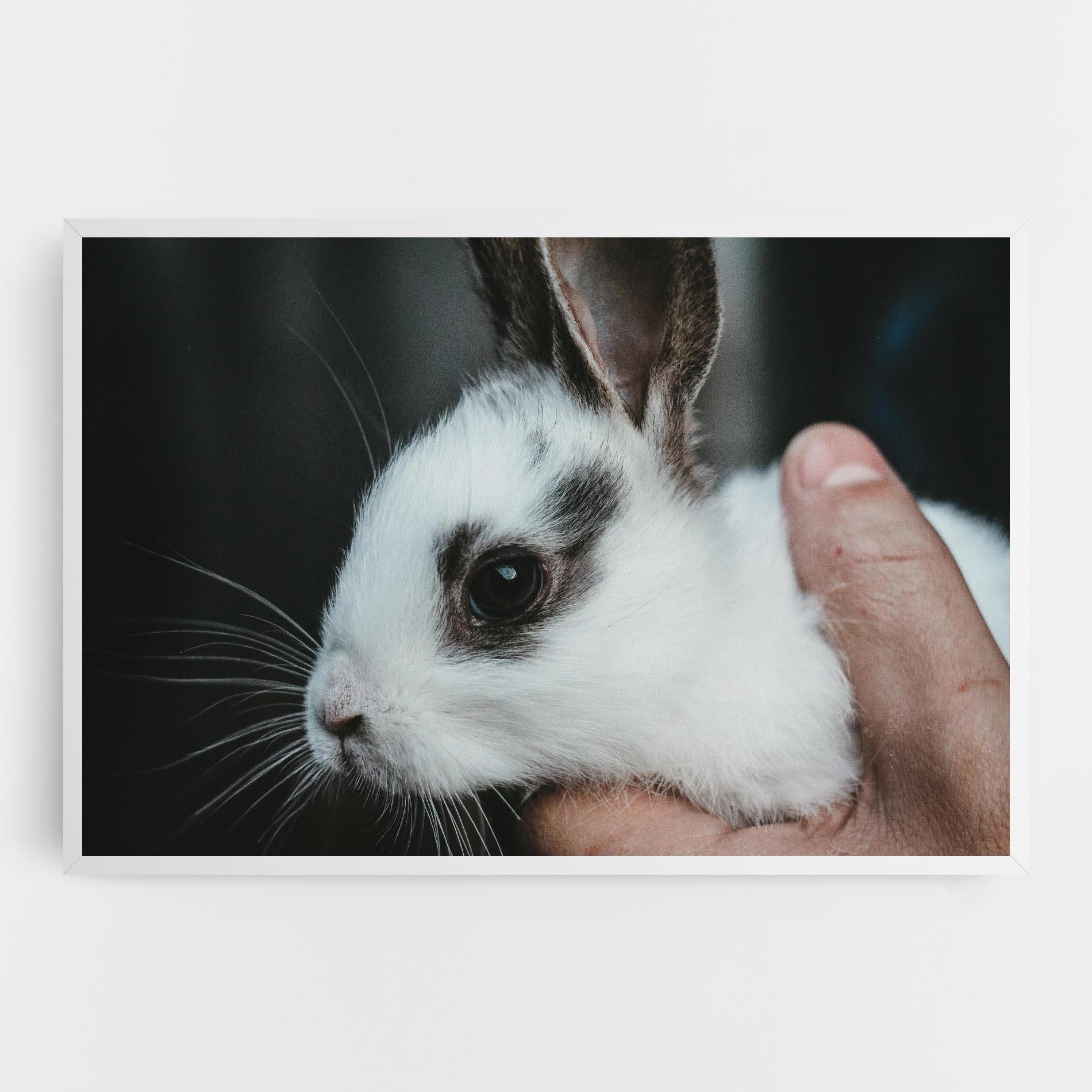 Leinwandbild Holding Cute Bunny mockup 0