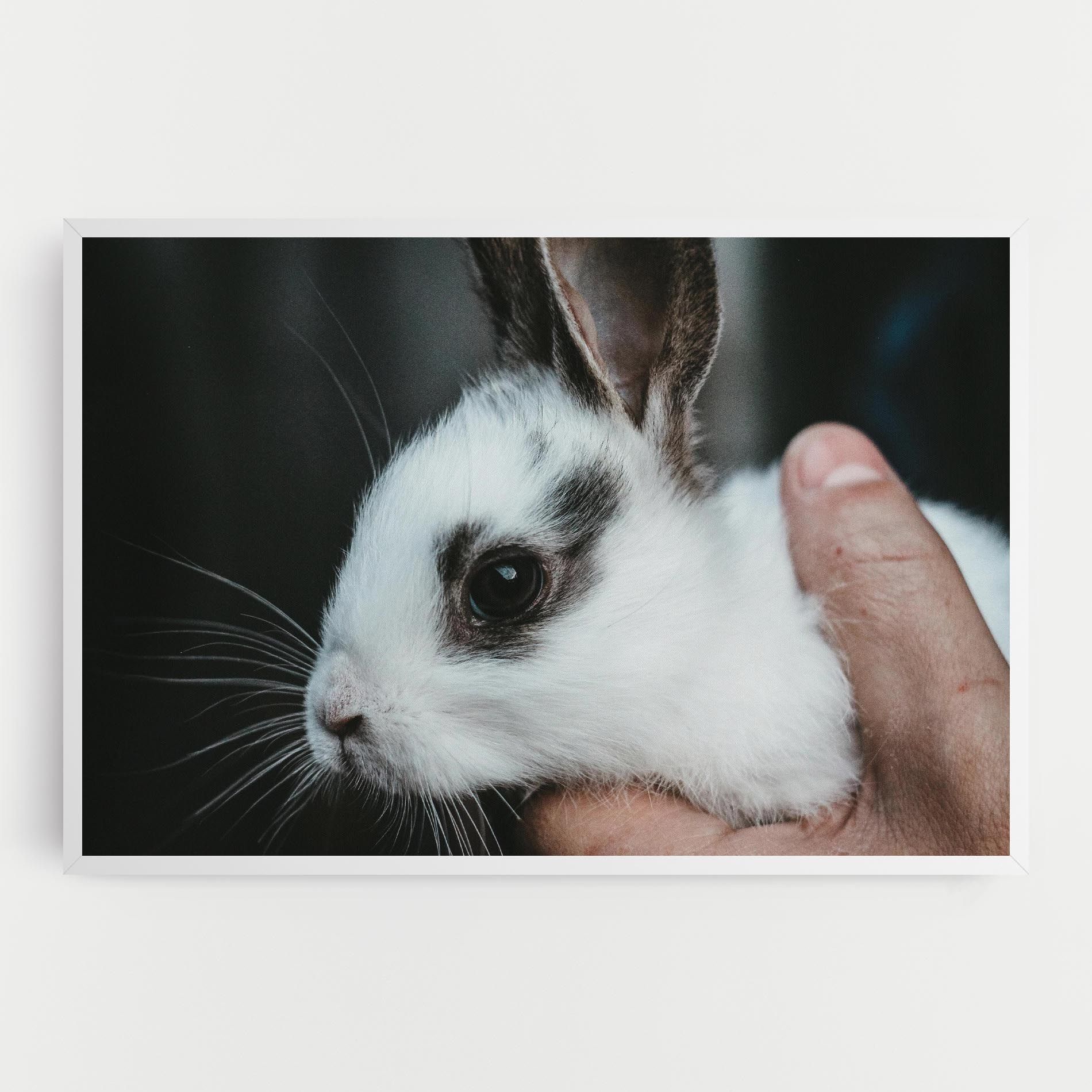 Holding Cute Bunny mockup 0