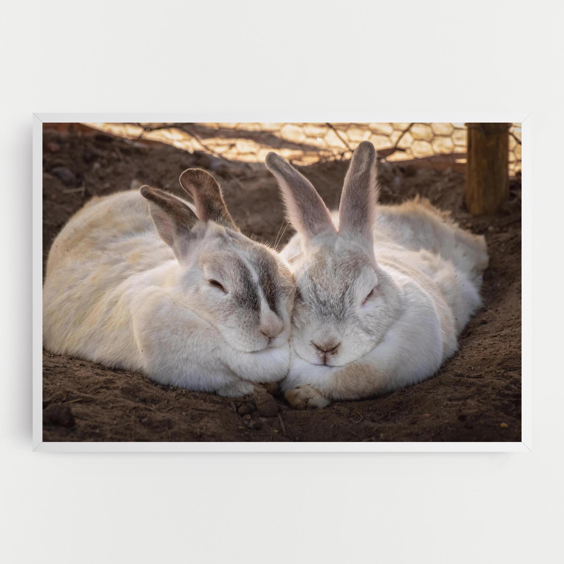 Leinwandbild Light Grey Bunny Sleeping mockup 0