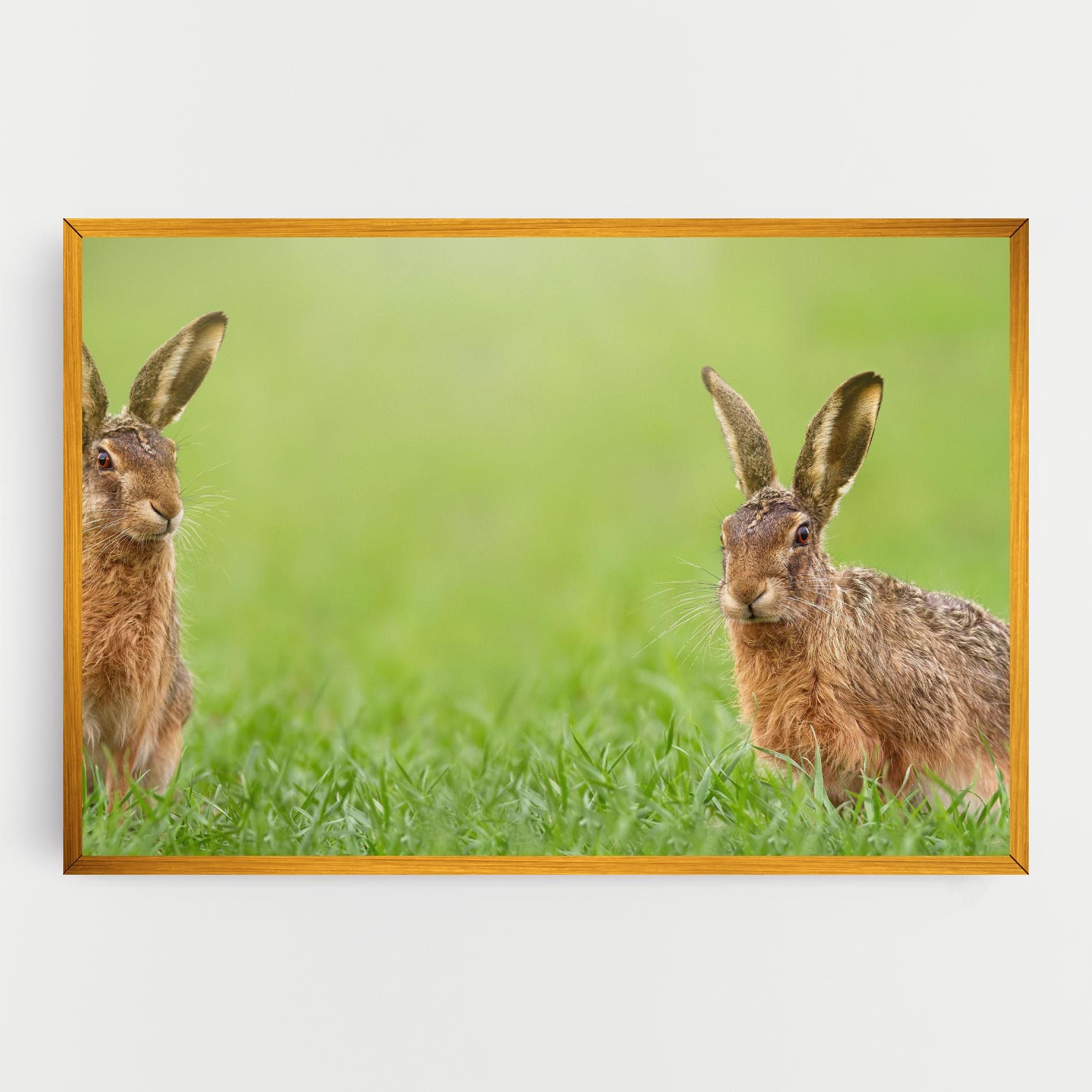 Brown Hares mockup 0
