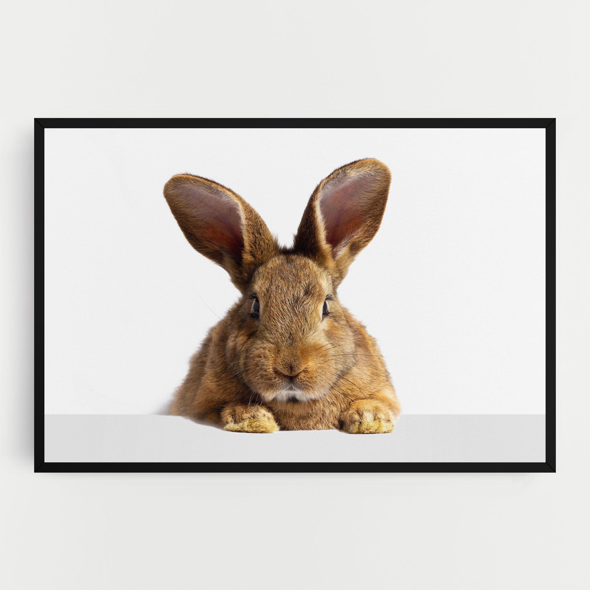 Leinwandbild Brown Cute Bunny mockup 0