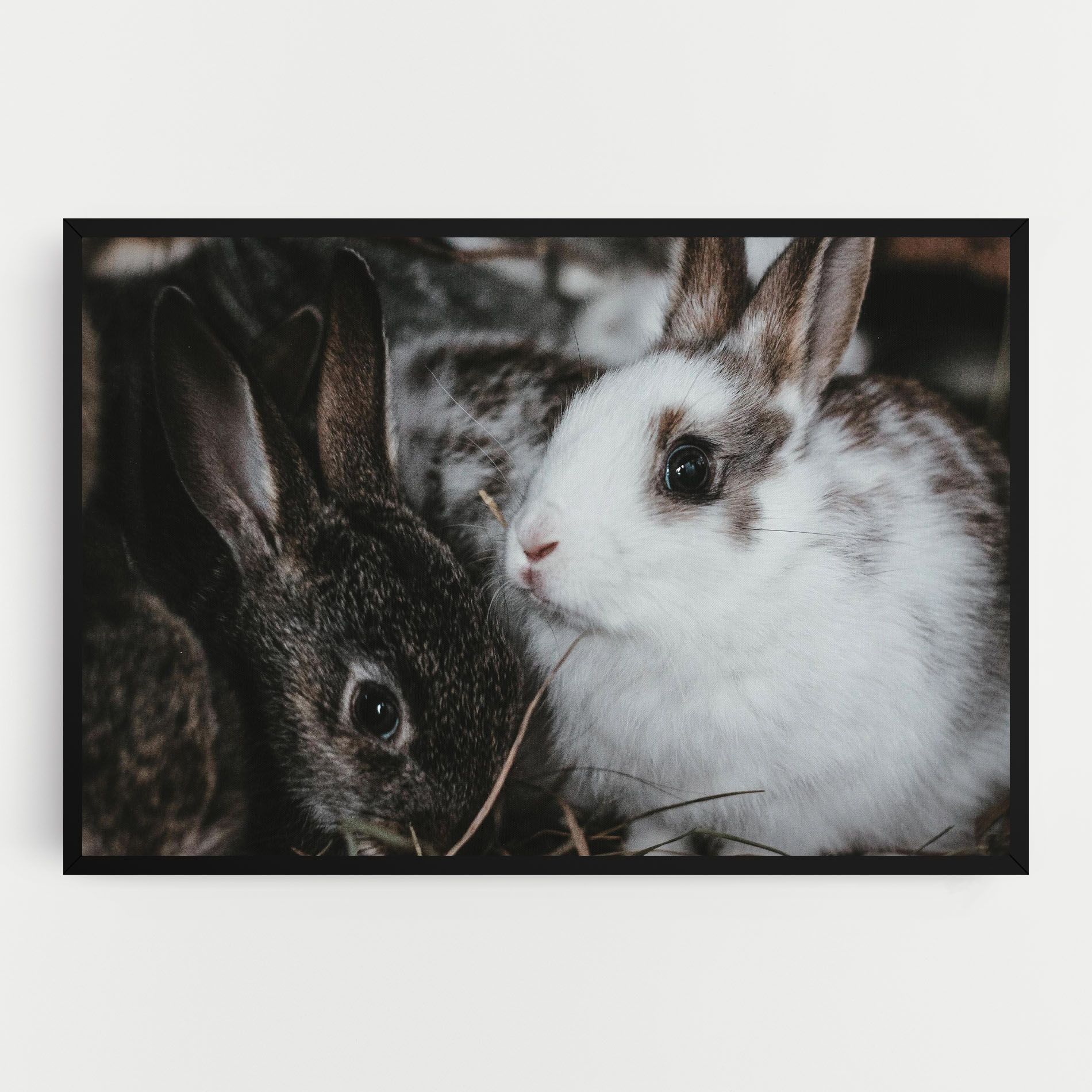 Cute Small Rabbit mockup 0