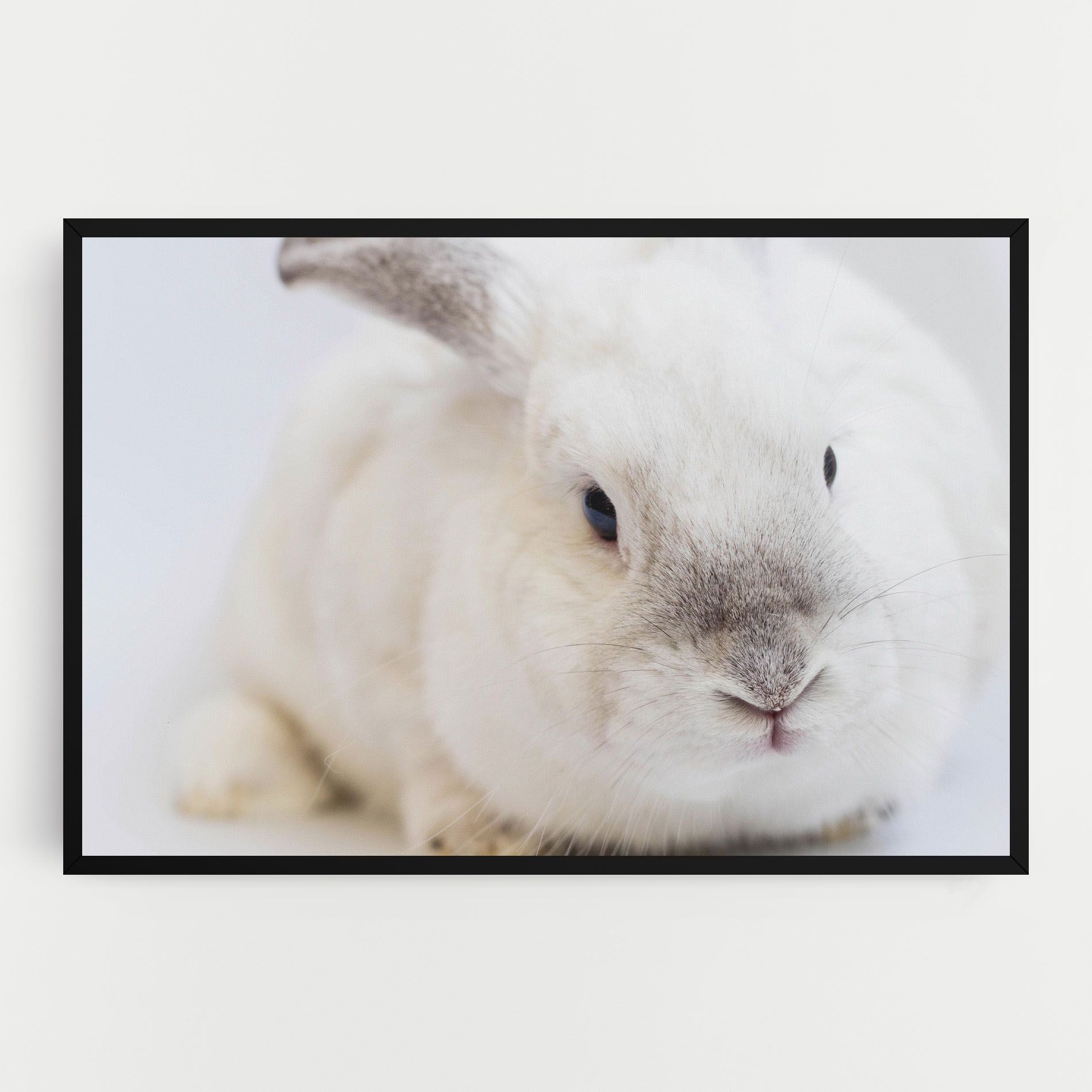 Light Grey Bunny mockup 0