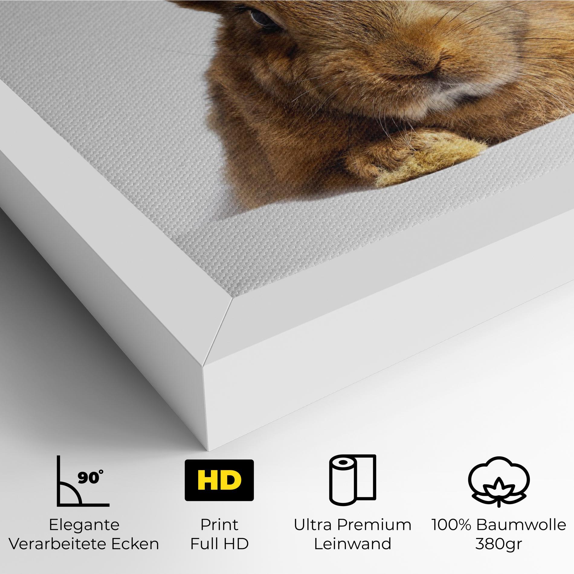 Leinwandbild Brown Cute Bunny mockup 4