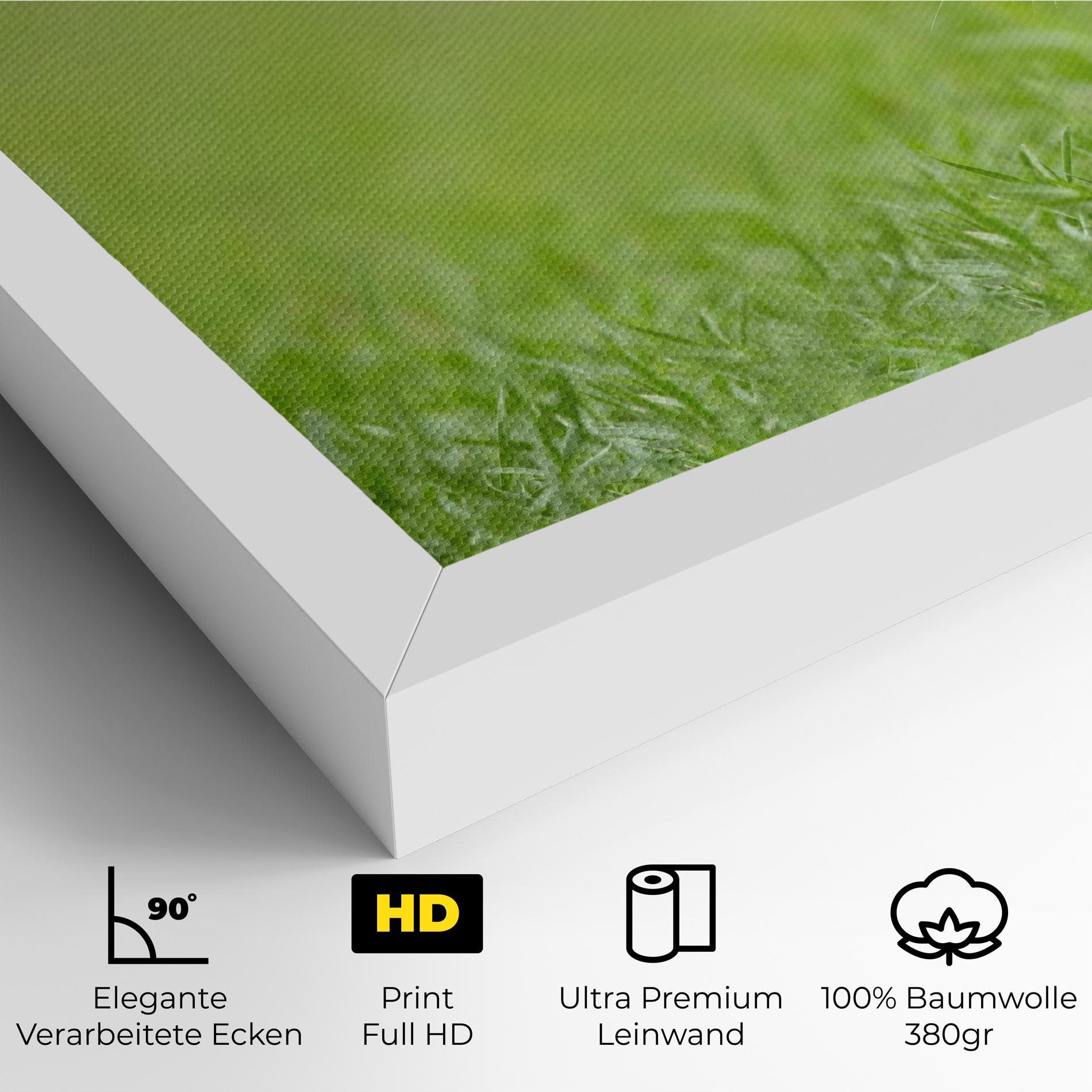 Leinwandbild Brown Hares mockup 4