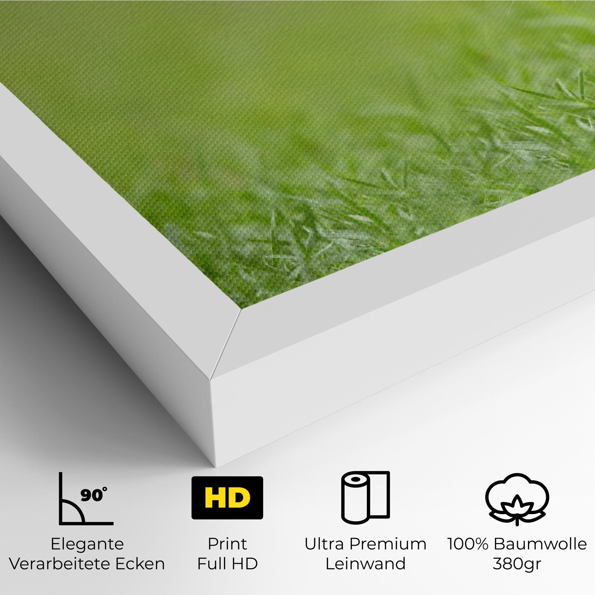 Brown Hares mockup 4