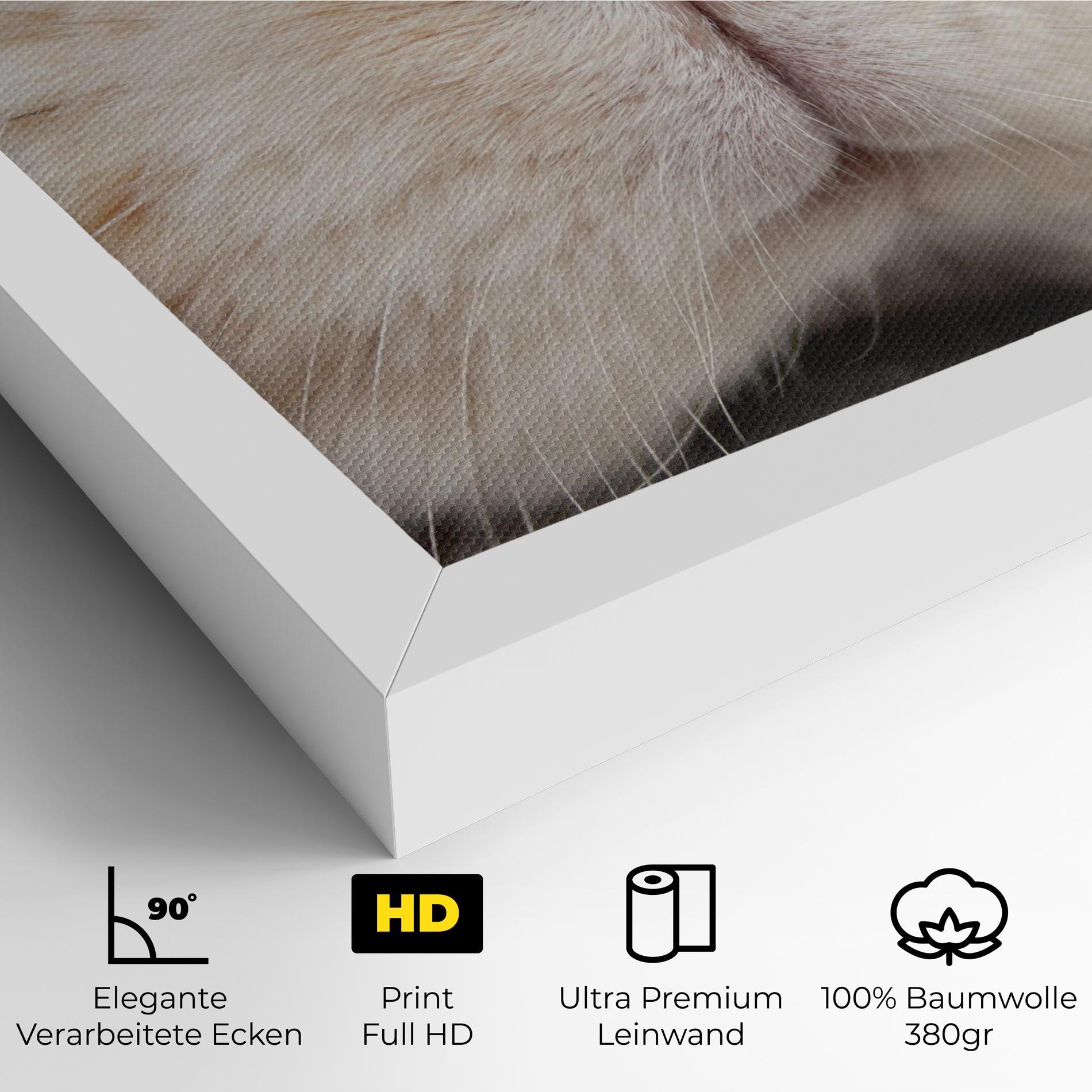 Leinwandbild Close Up Bunny mockup 4