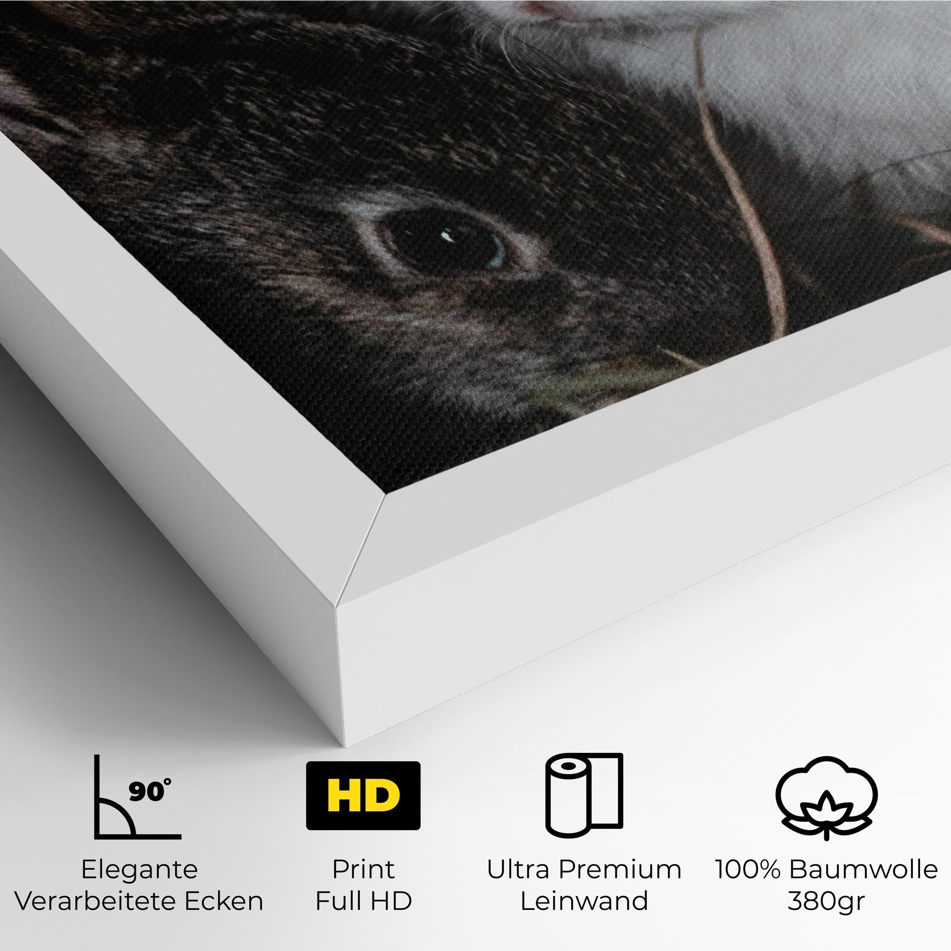 Leinwandbild Cute Small Rabbit mockup 4