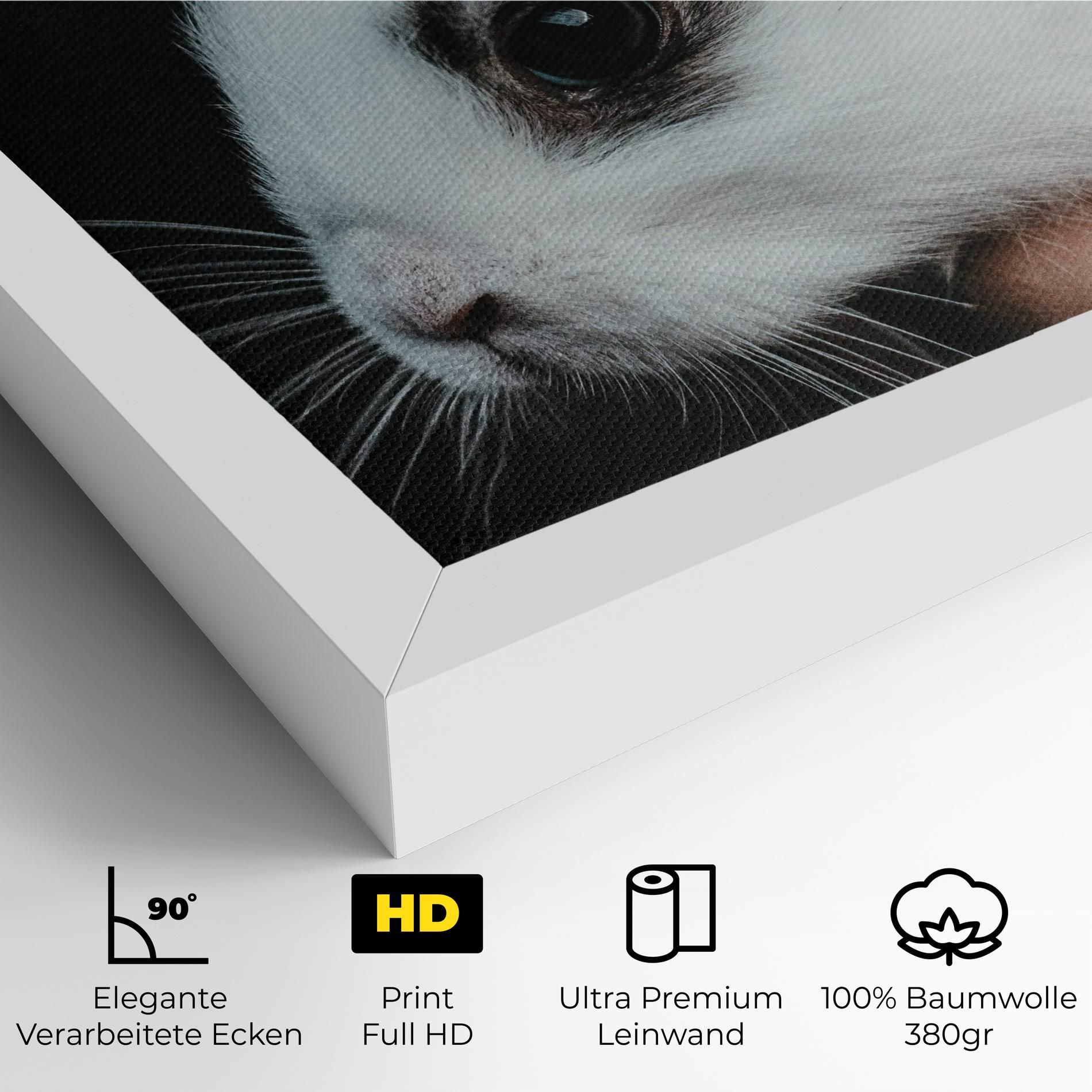 Holding Cute Bunny mockup 4