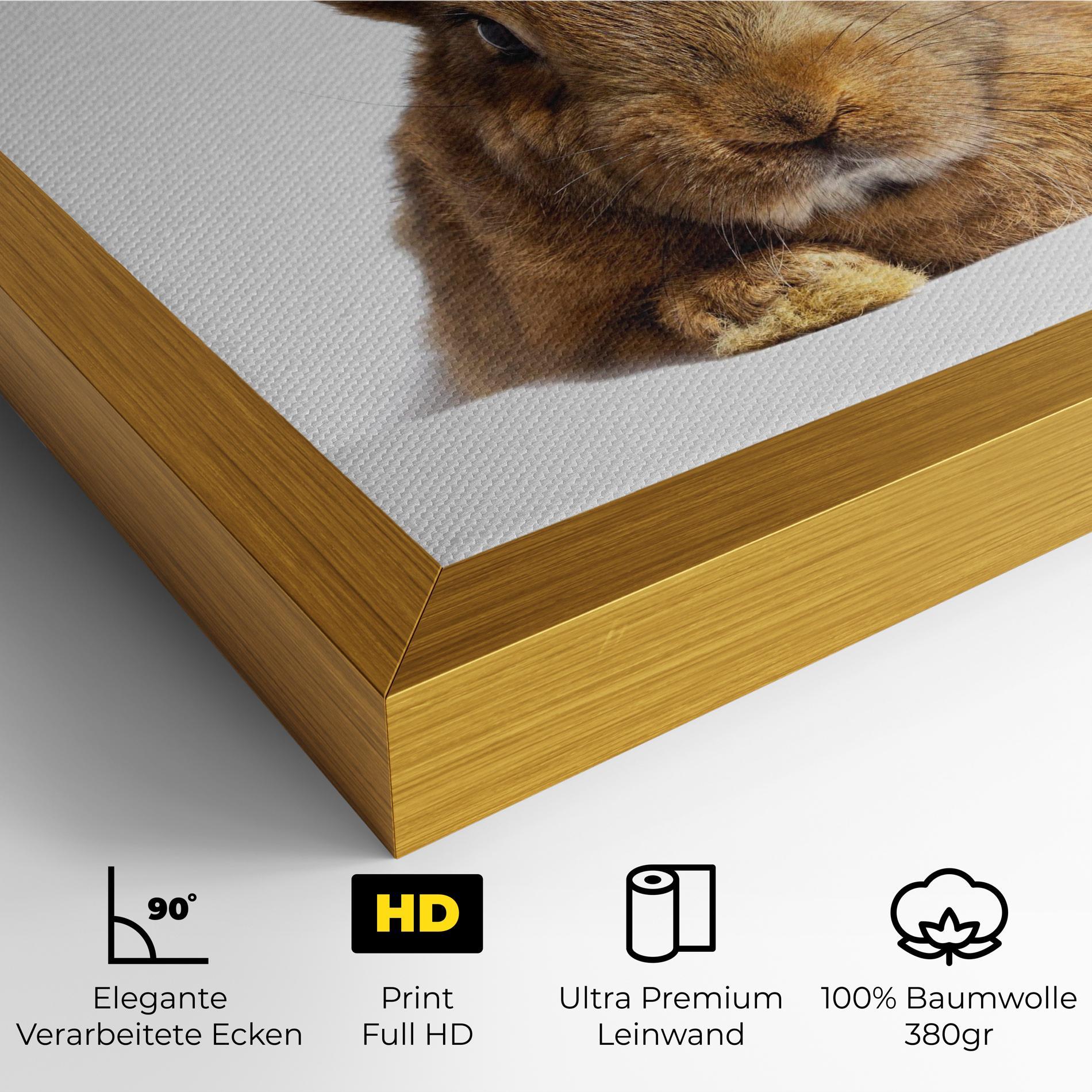 Leinwandbild Brown Cute Bunny mockup 4