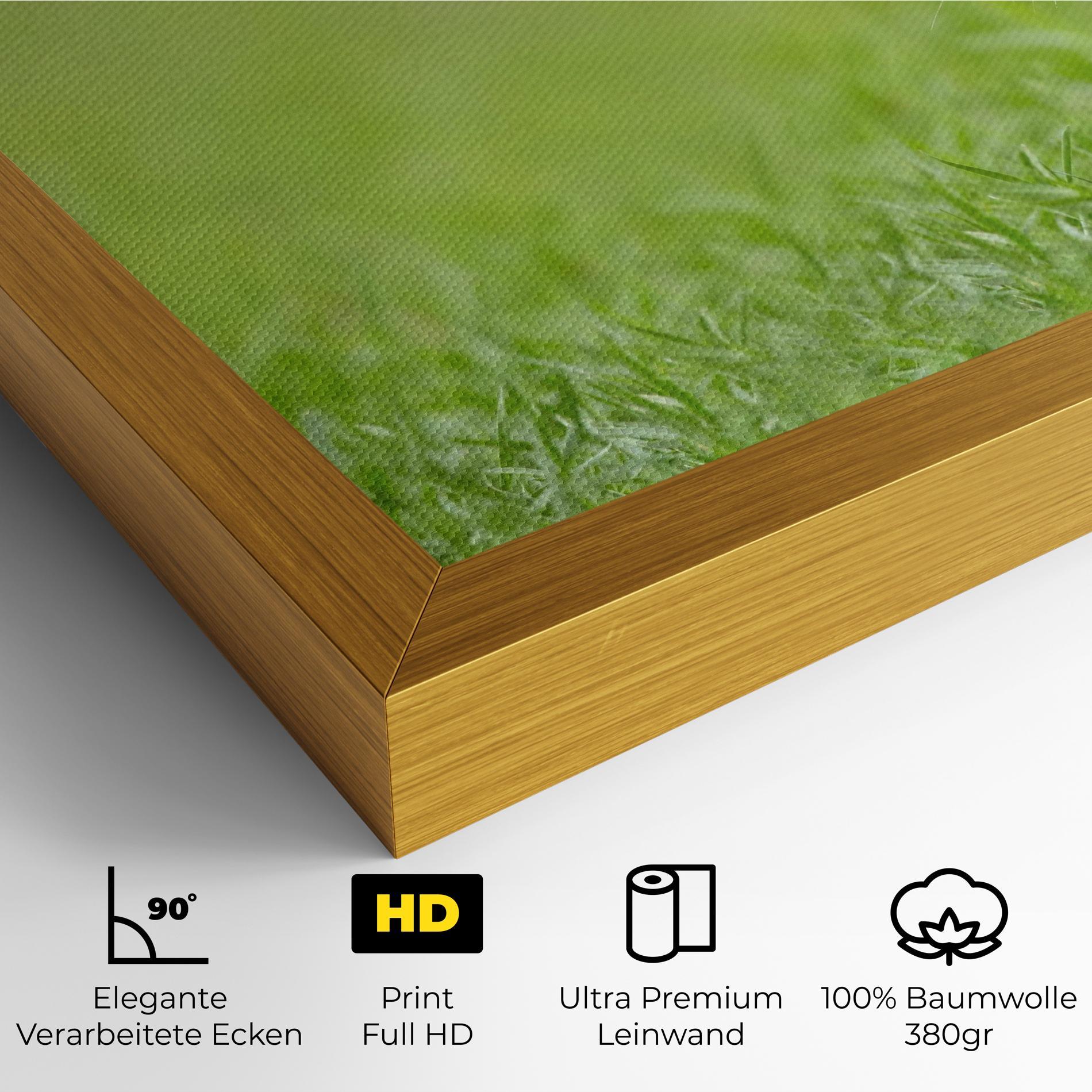 Leinwandbild Brown Hares mockup 4