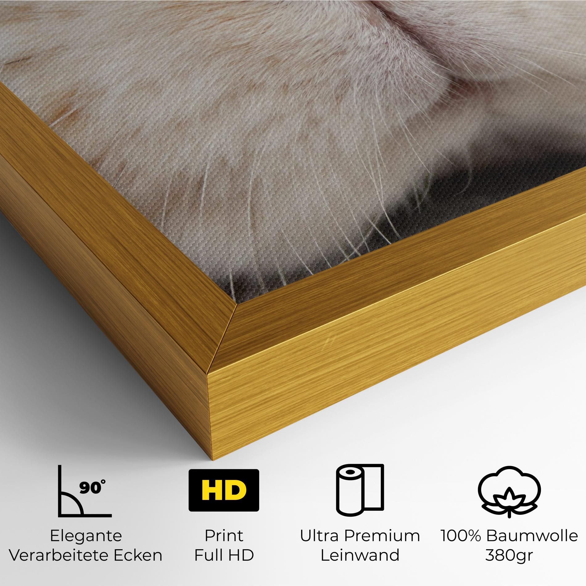 Close Up Bunny mockup 4