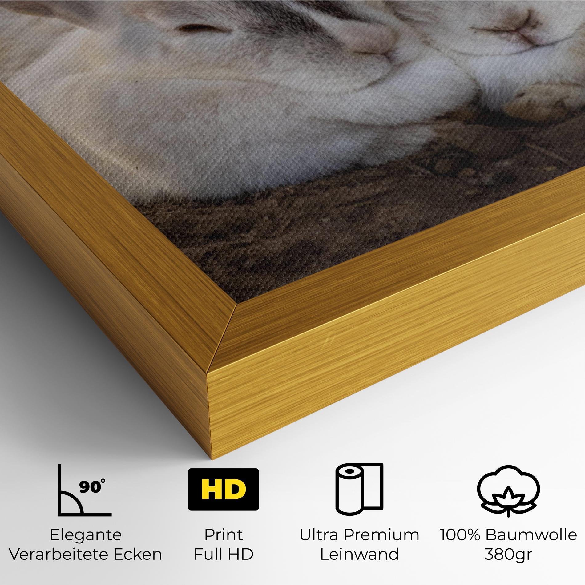 Leinwandbild Light Grey Bunny Sleeping mockup 4