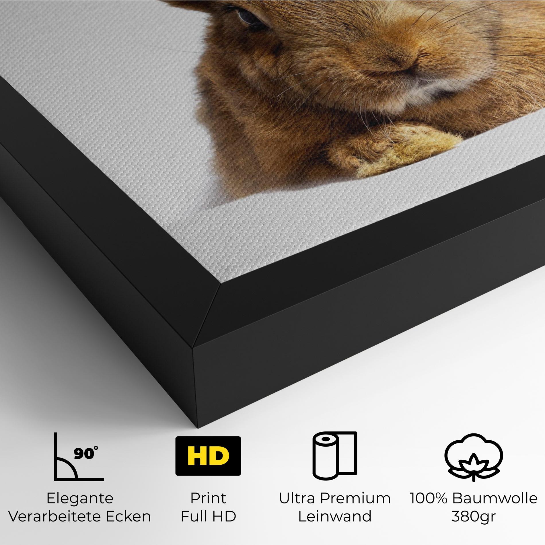 Leinwandbild Brown Cute Bunny mockup 4