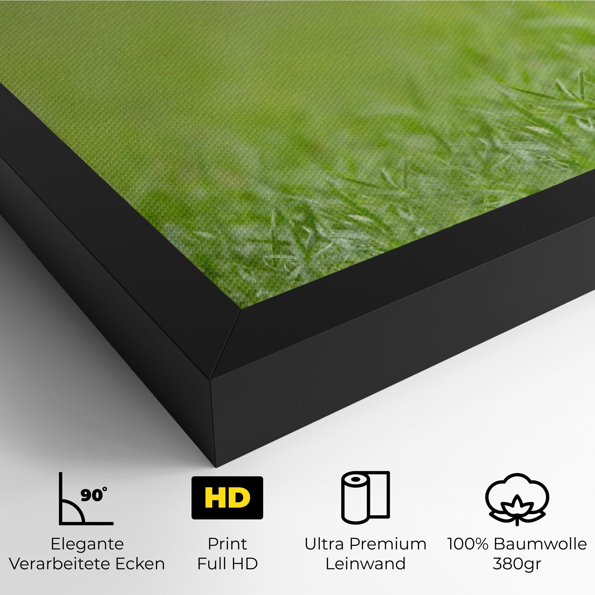 Brown Hares mockup 4