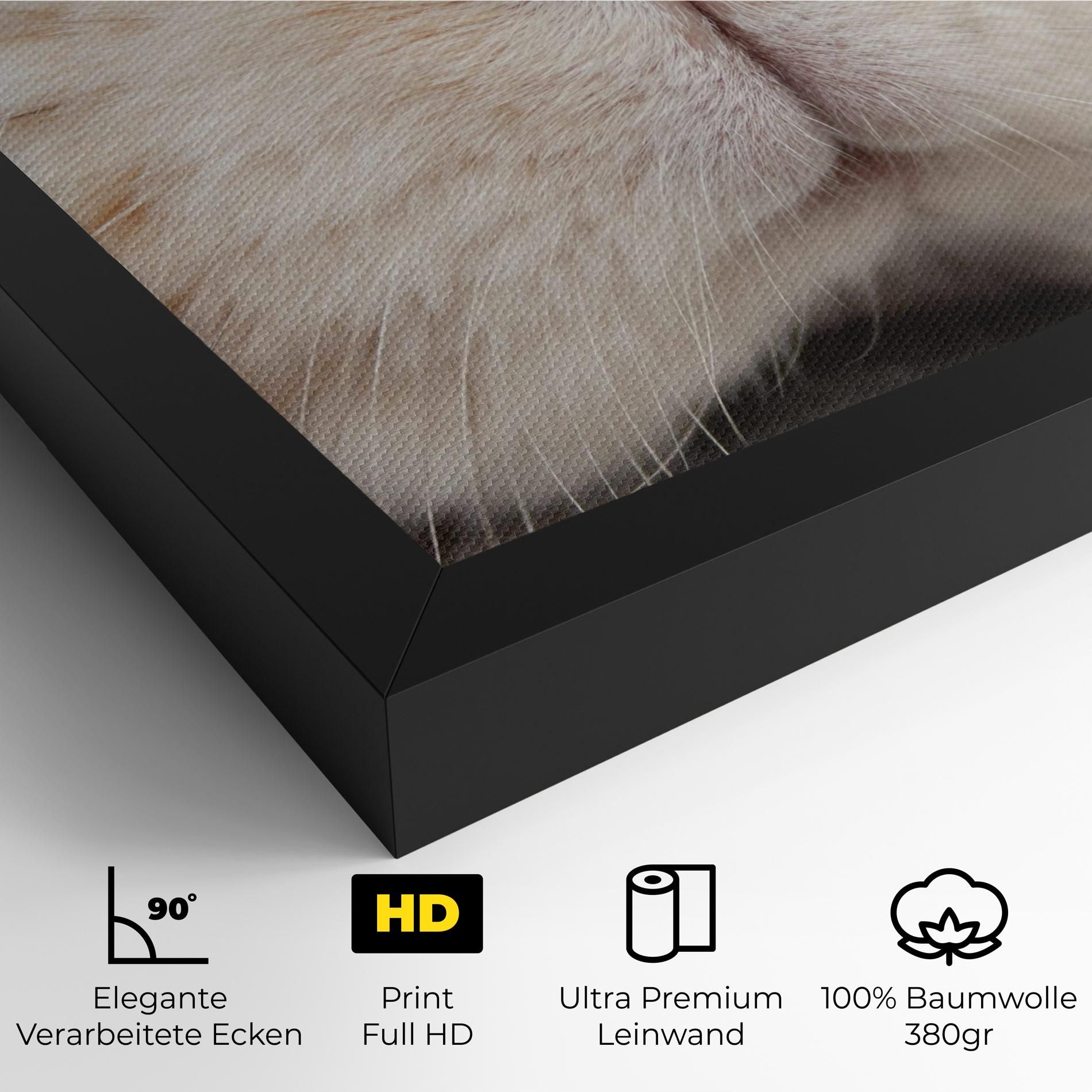 Close Up Bunny mockup 4