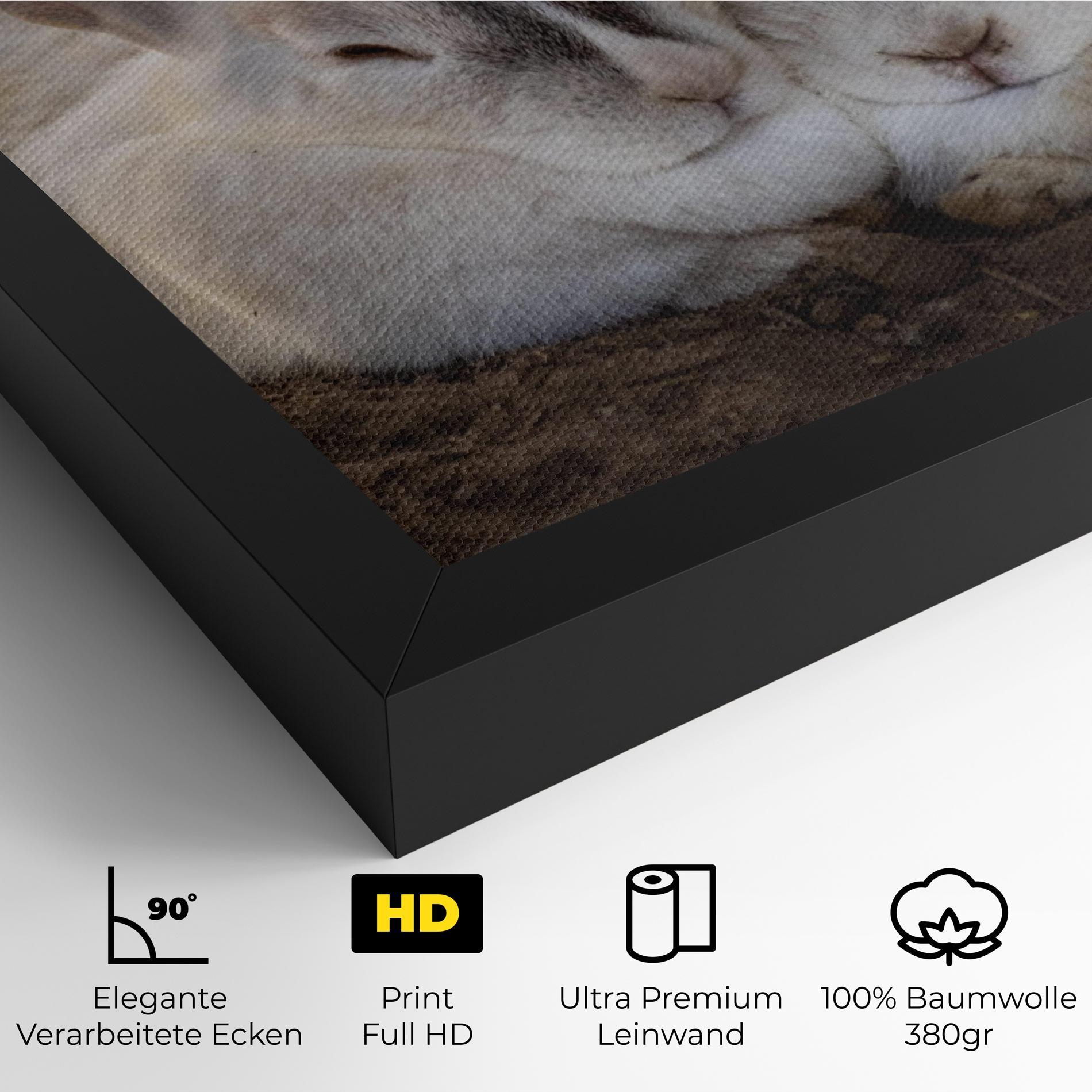 Leinwandbild Light Grey Bunny Sleeping mockup 4