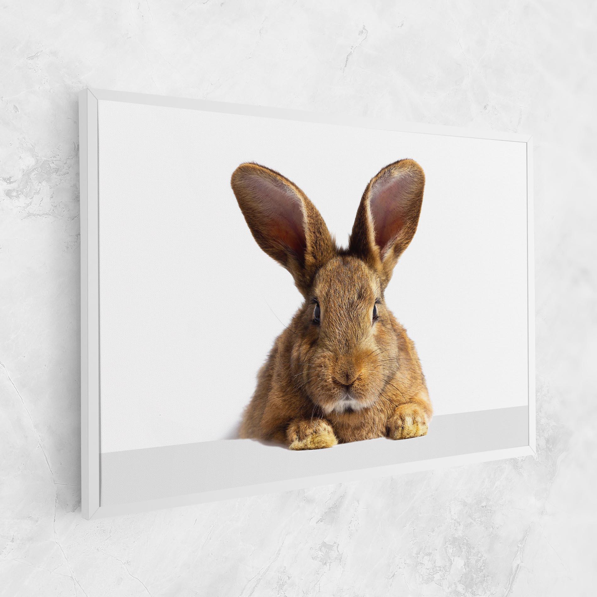 Leinwandbild Brown Cute Bunny mockup 1