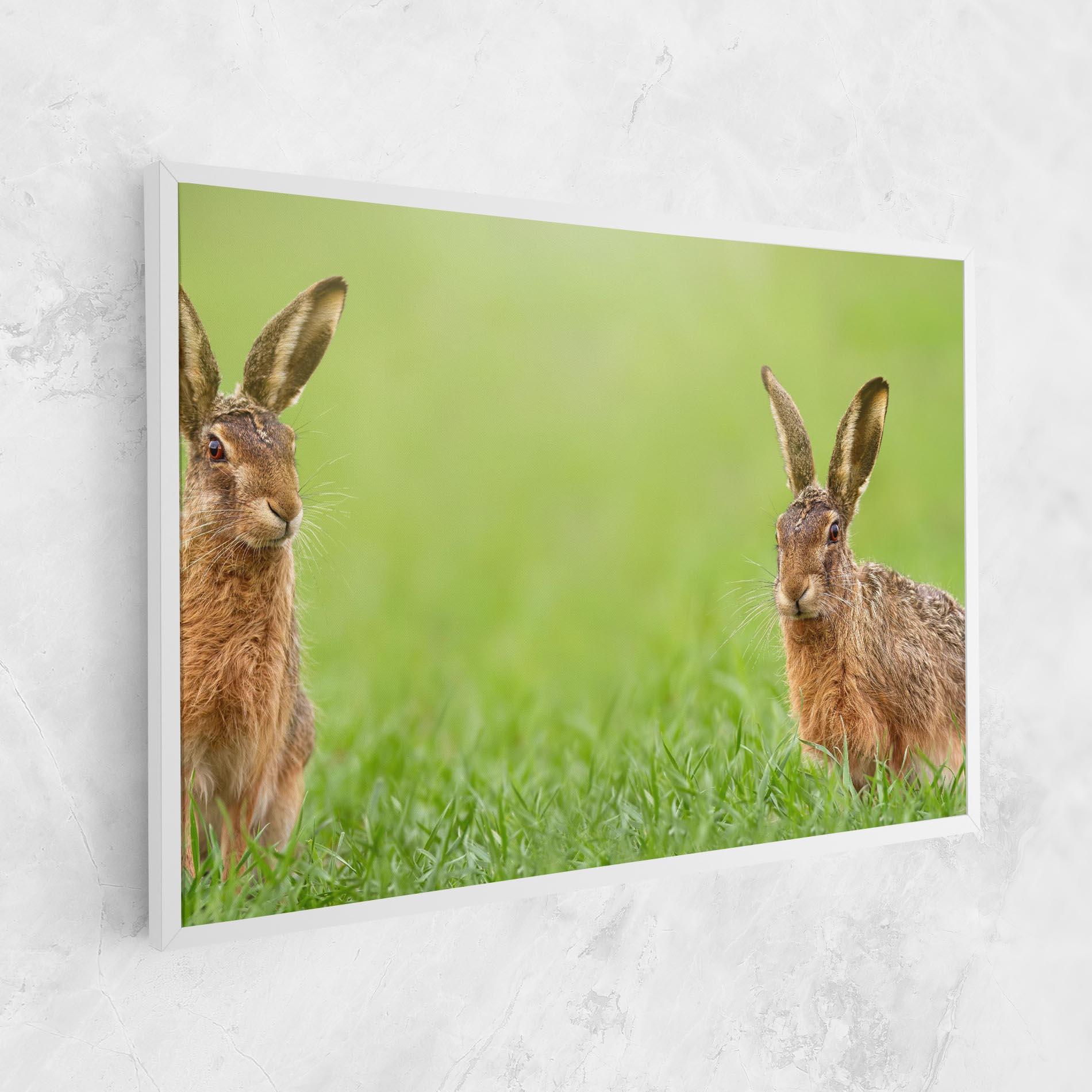 Leinwandbild Brown Hares mockup 1