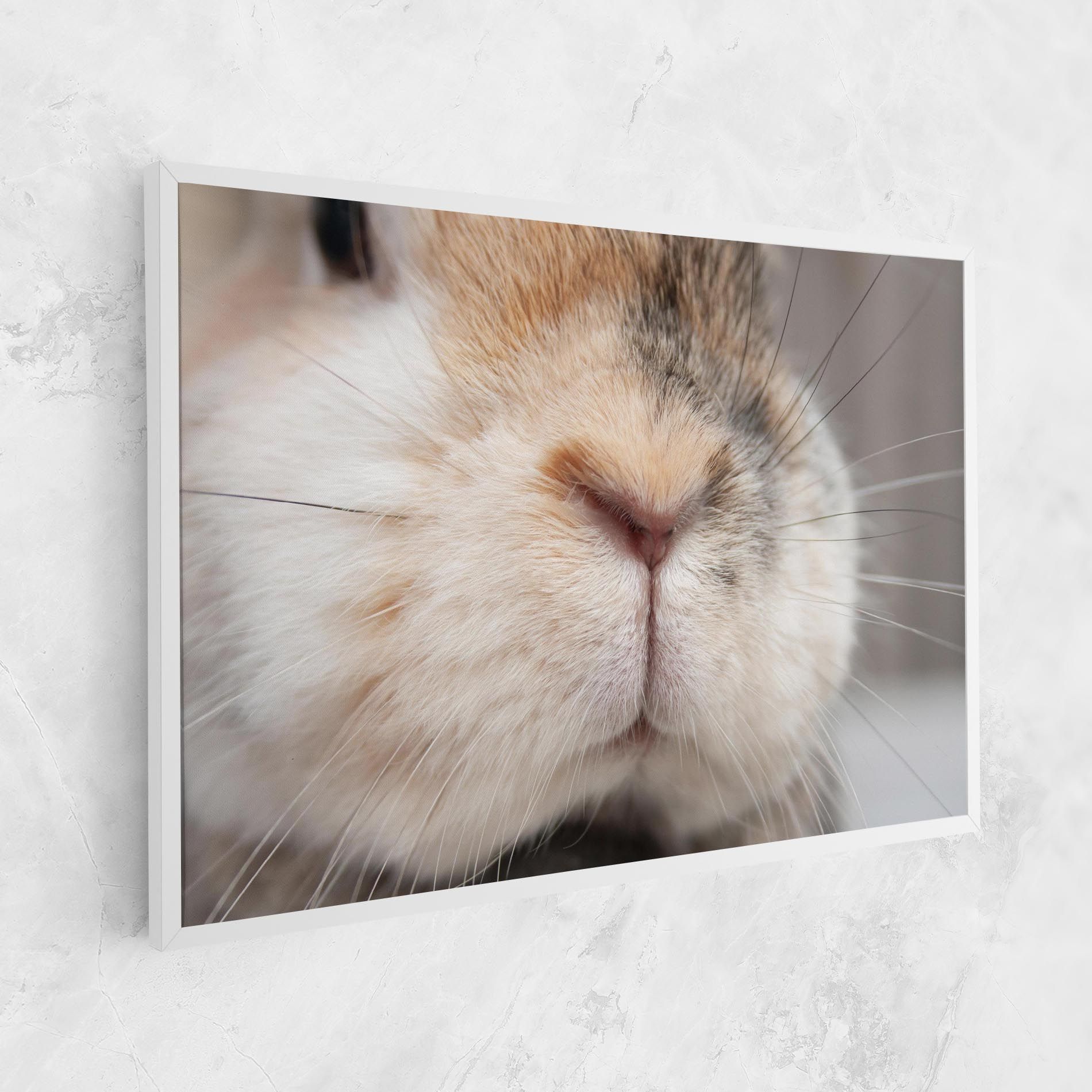 Close Up Bunny mockup 1