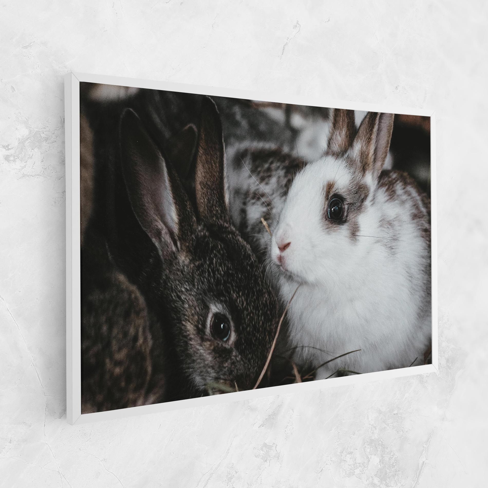 Cute Small Rabbit mockup 1