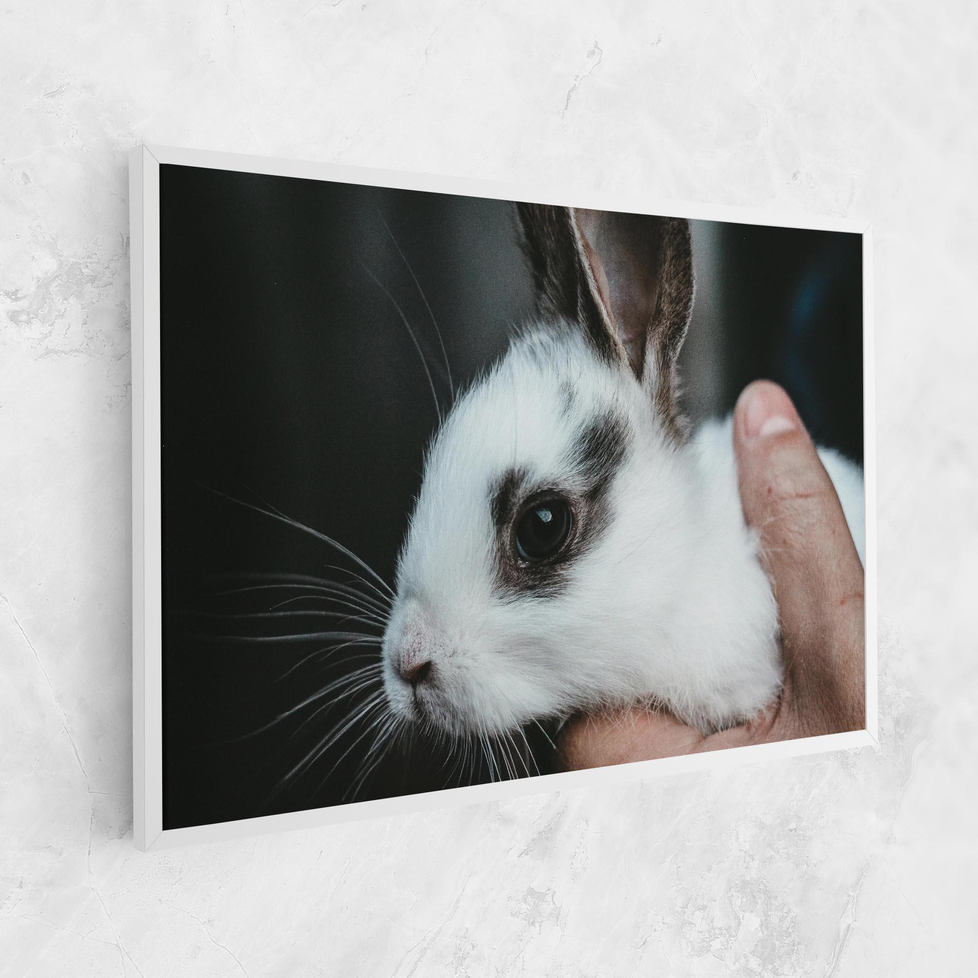 Leinwandbild Holding Cute Bunny mockup 1
