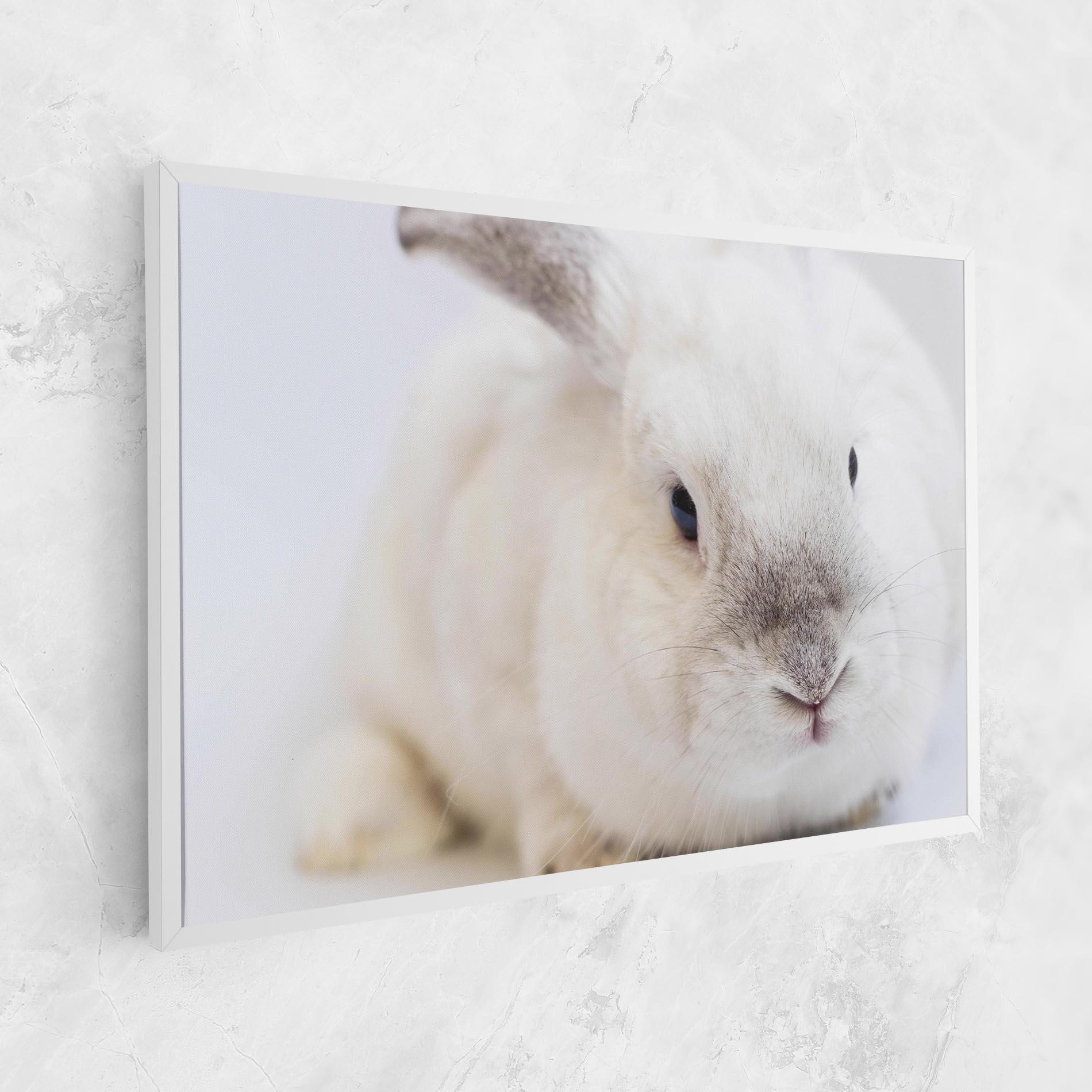 Leinwandbild Light Grey Bunny mockup 1