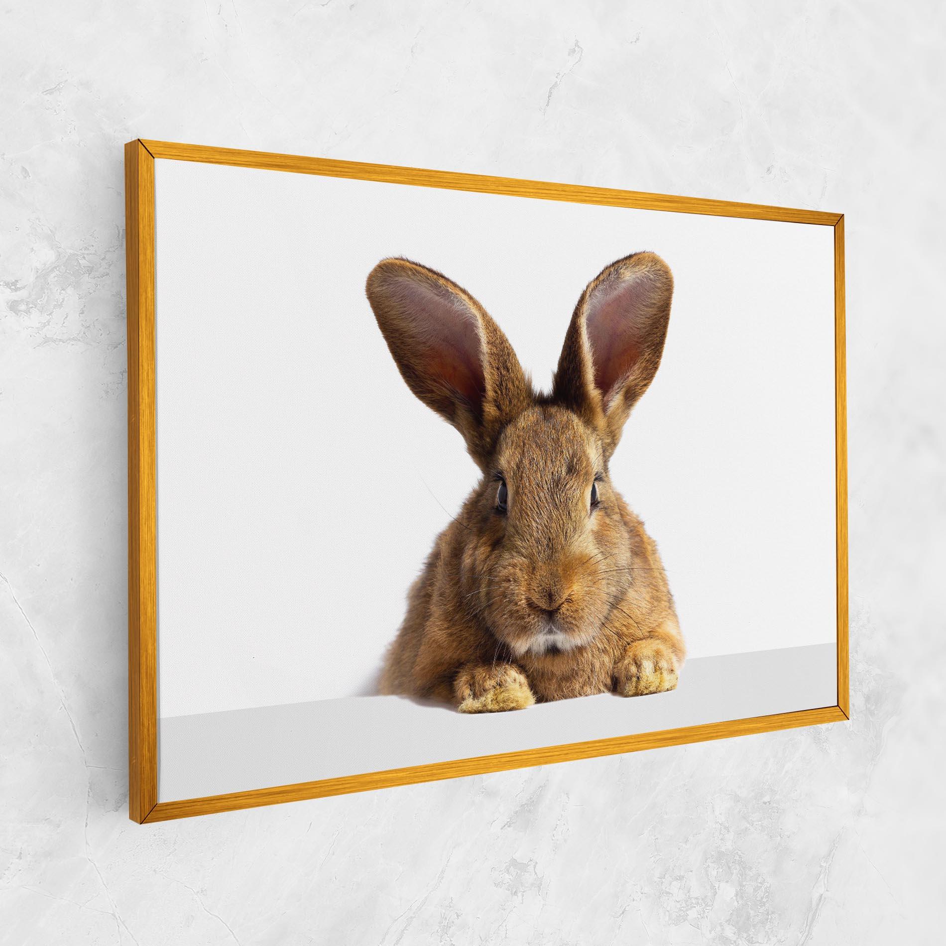 Leinwandbild Brown Cute Bunny mockup 1
