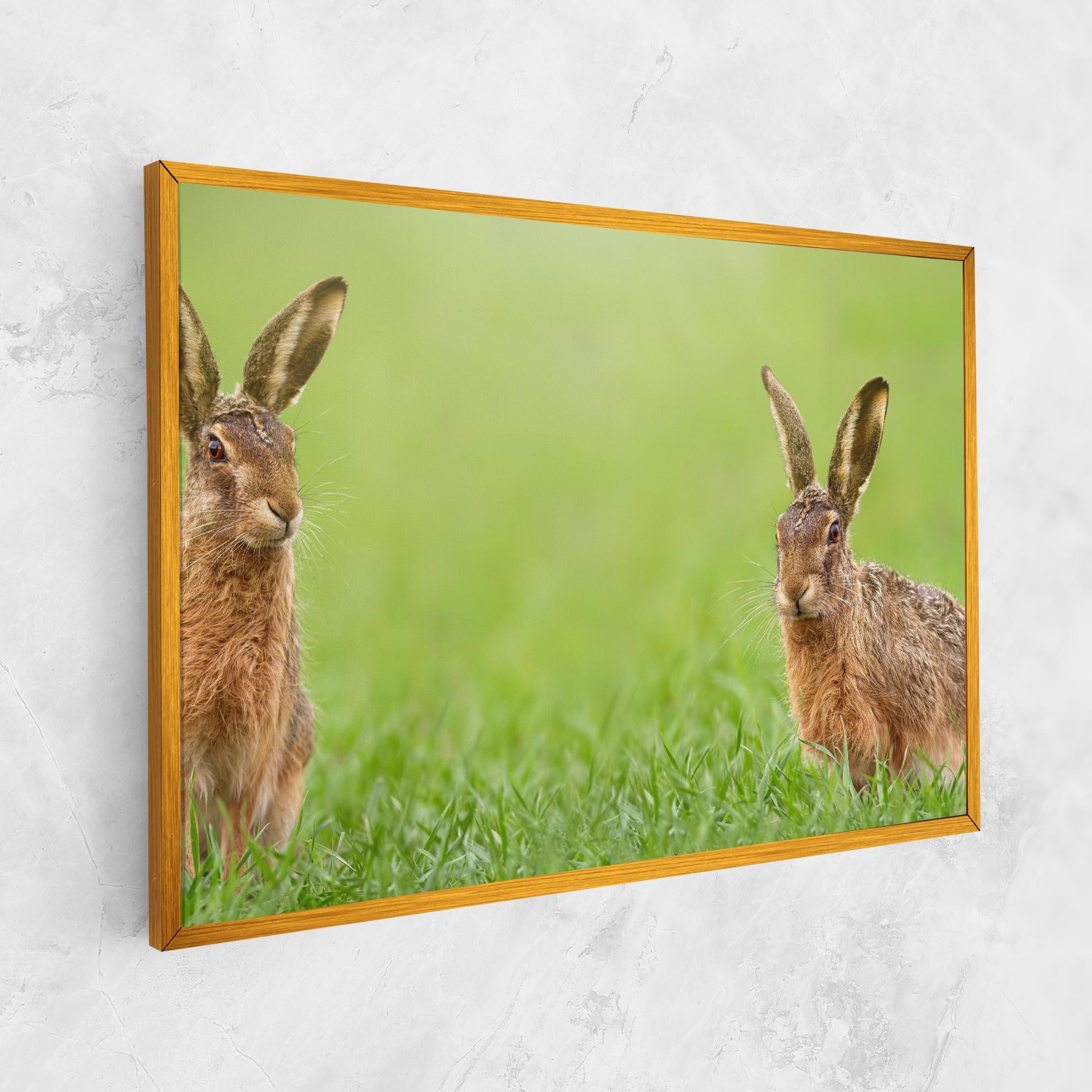 Leinwandbild Brown Hares mockup 1