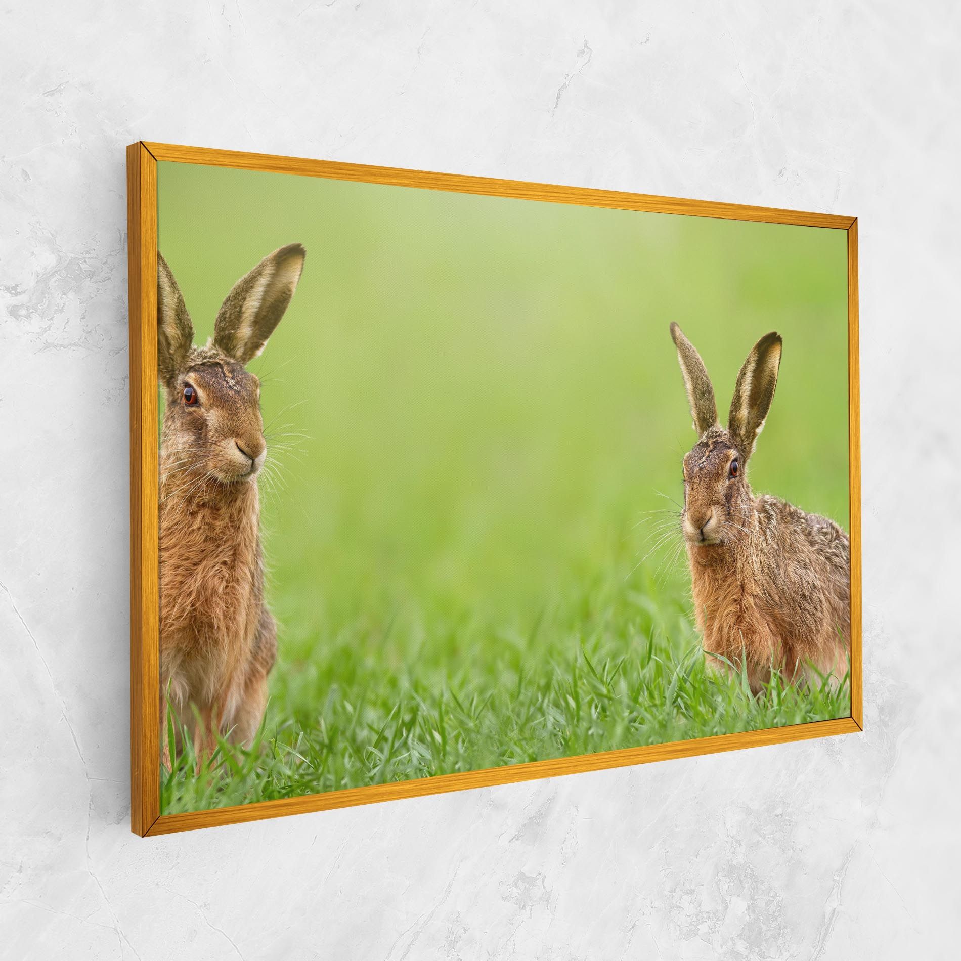 Brown Hares mockup 1