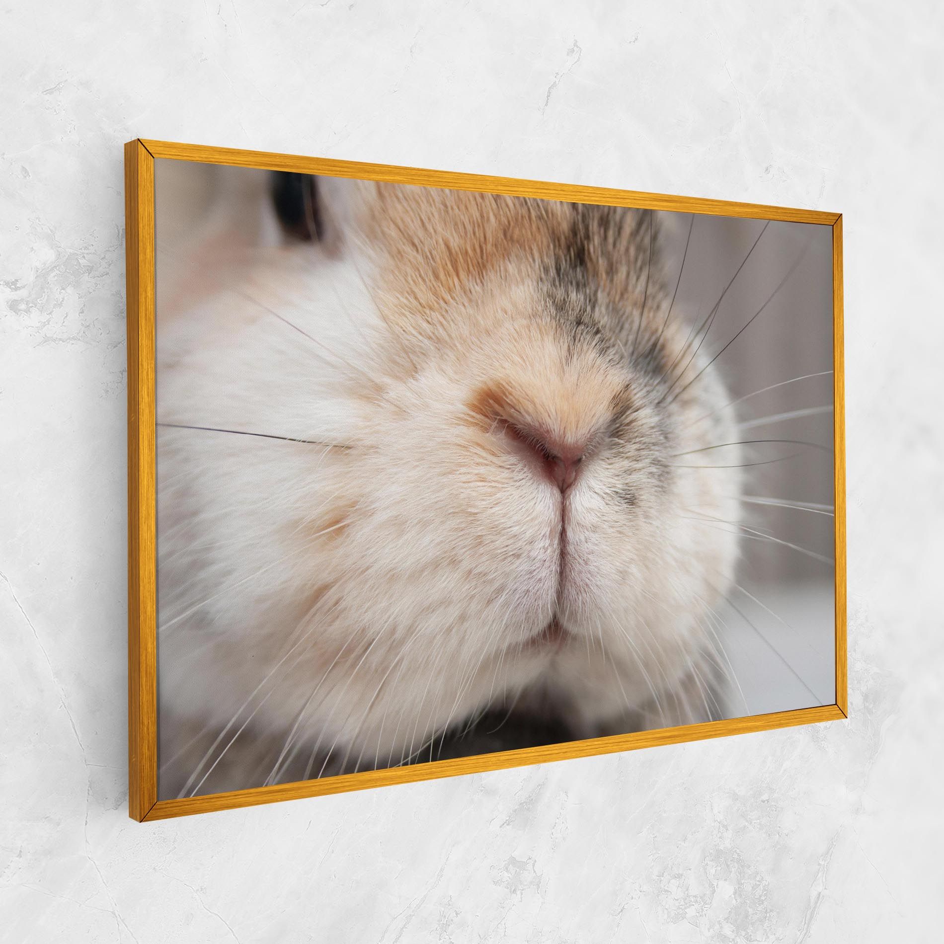 Close Up Bunny mockup 1