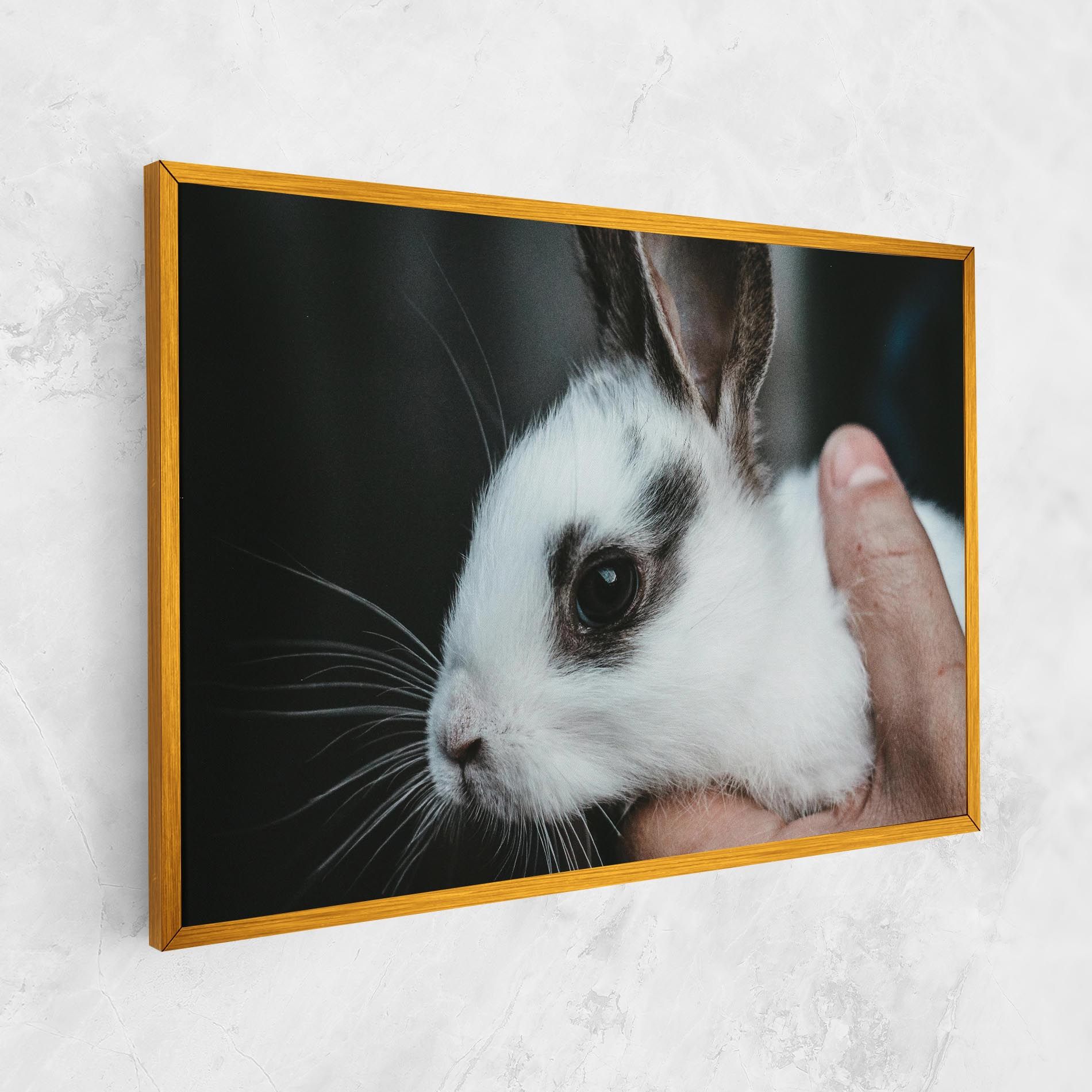 Holding Cute Bunny mockup 1