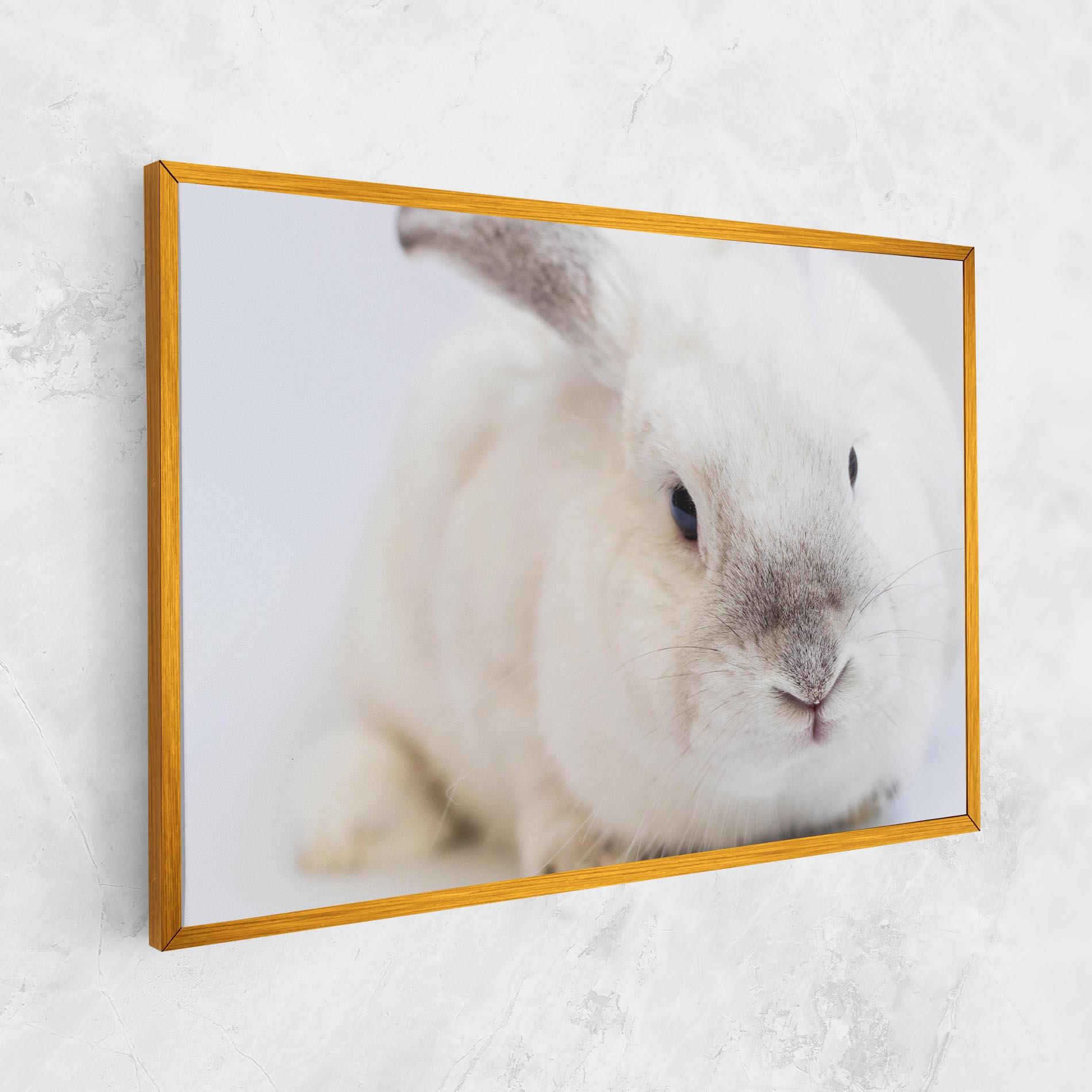 Leinwandbild Light Grey Bunny mockup 1