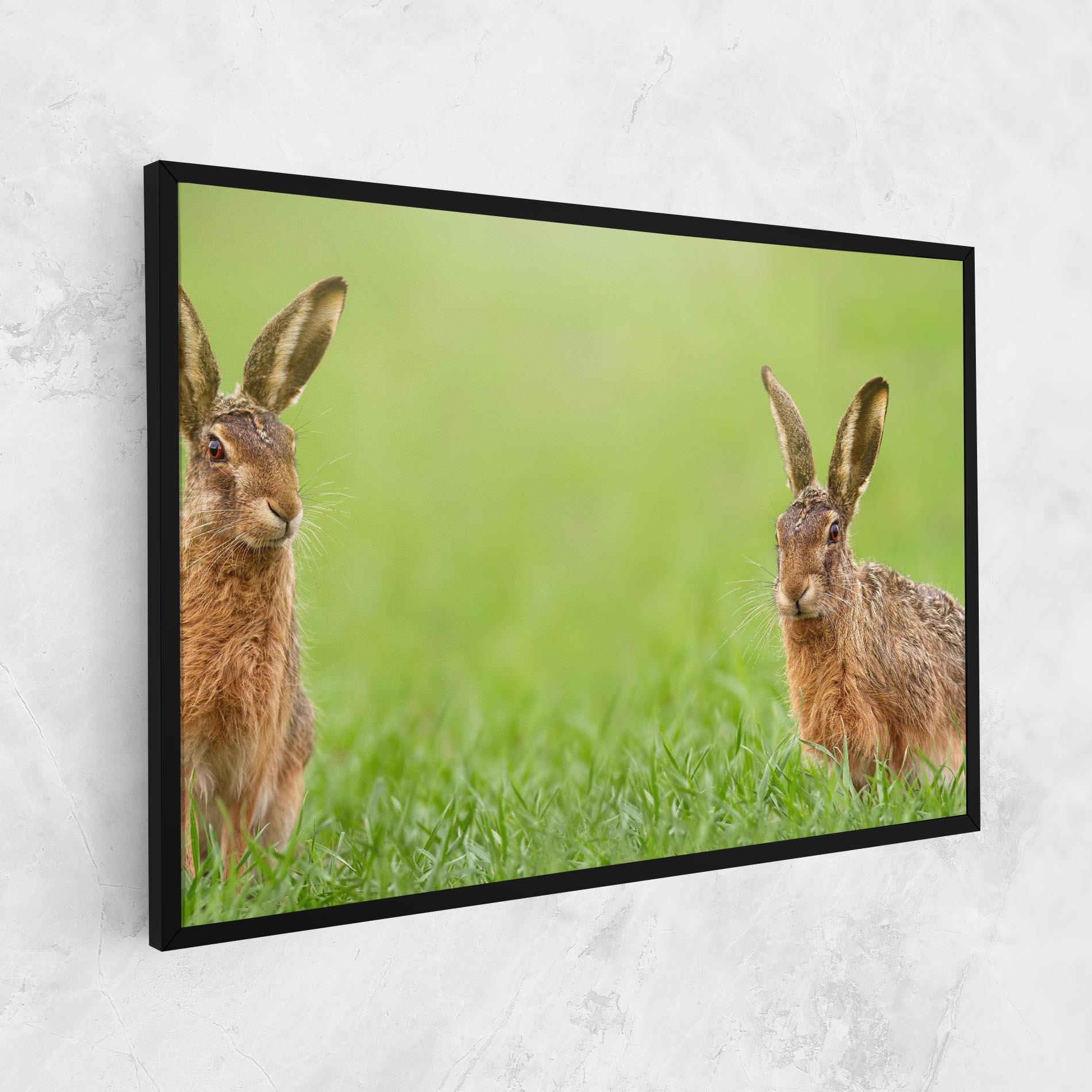 Leinwandbild Brown Hares mockup 1