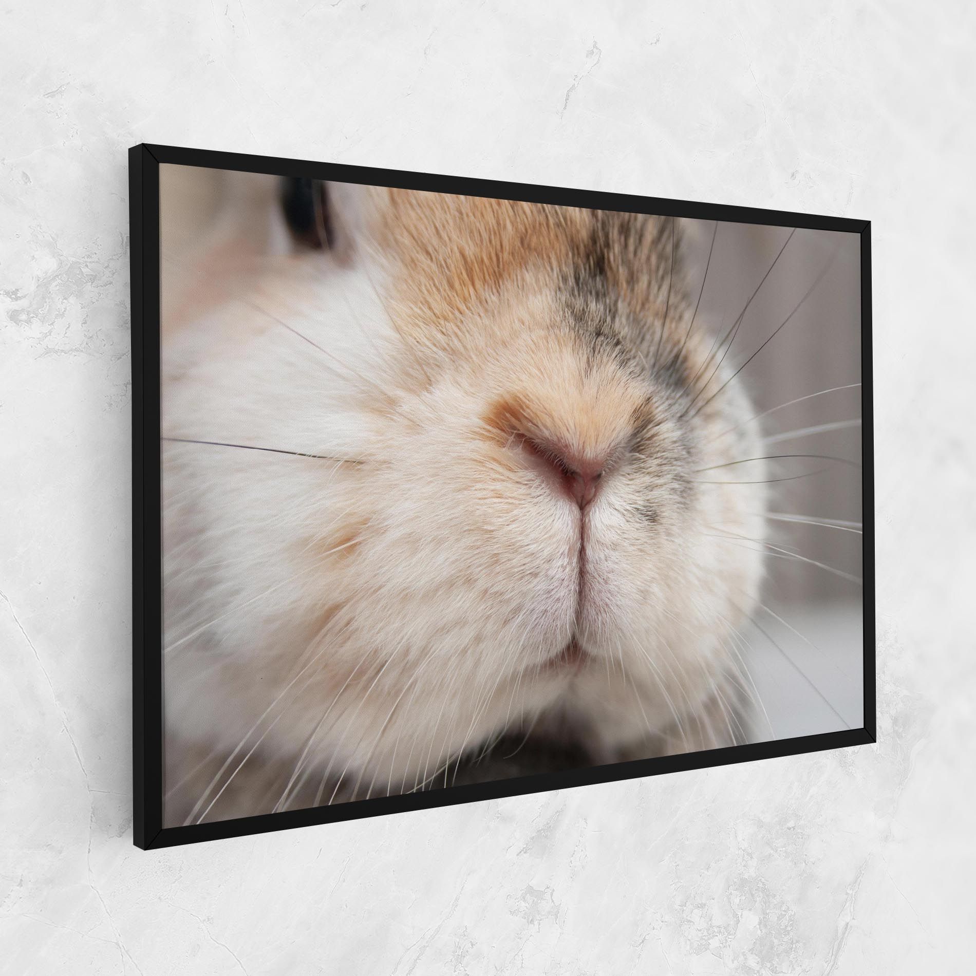 Close Up Bunny mockup 1