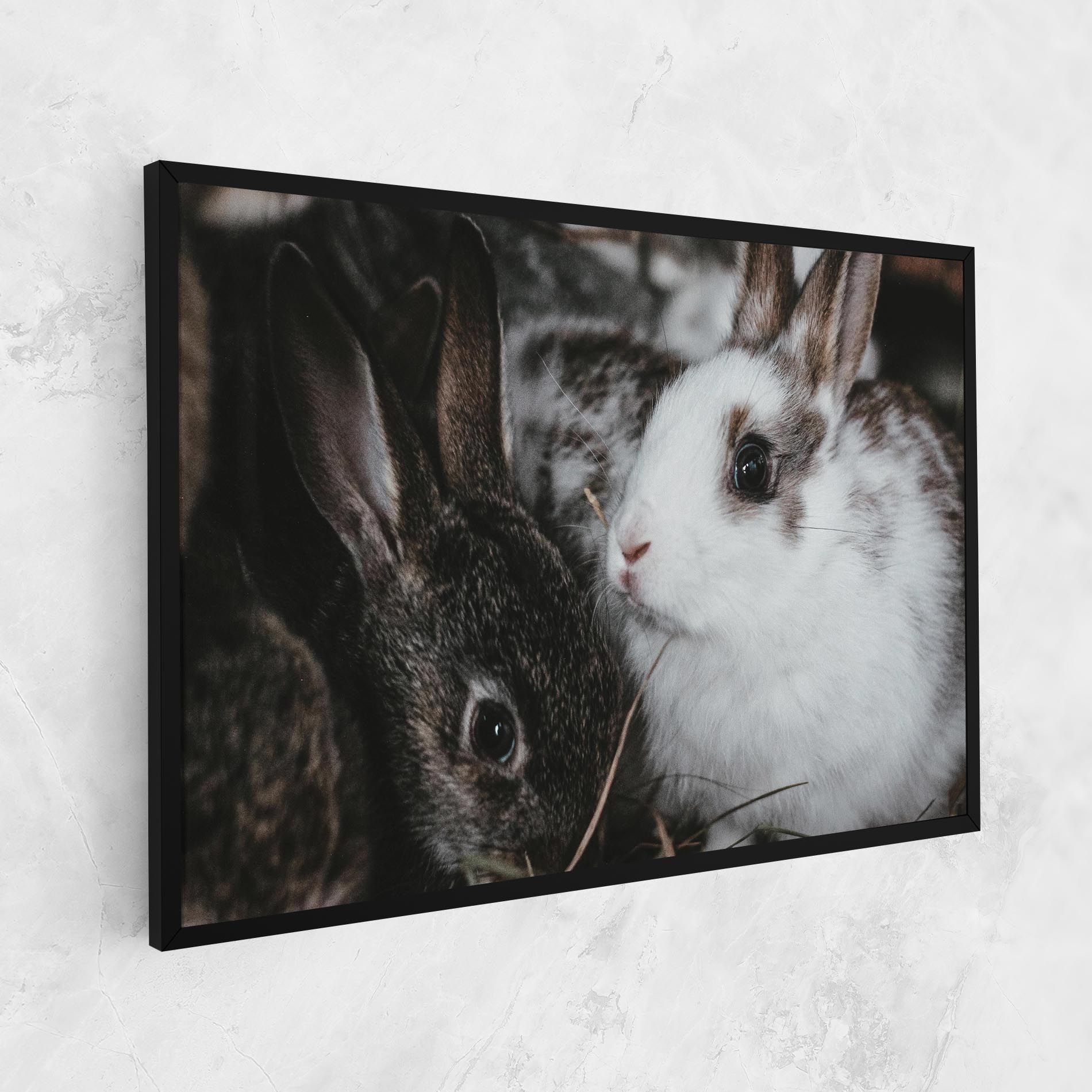 Cute Small Rabbit mockup 1