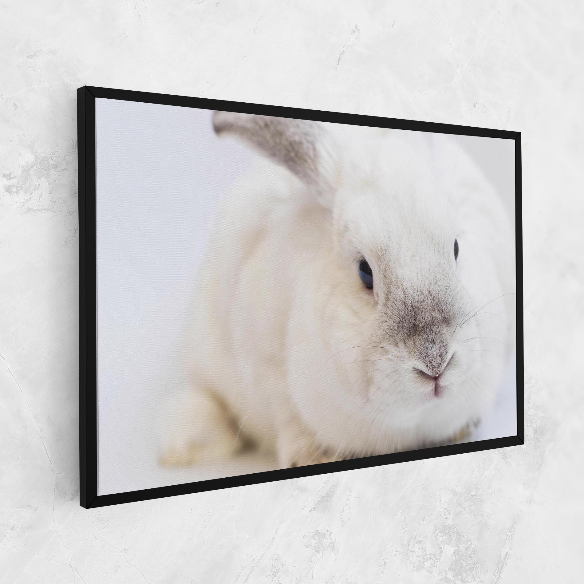 Leinwandbild Light Grey Bunny mockup 1
