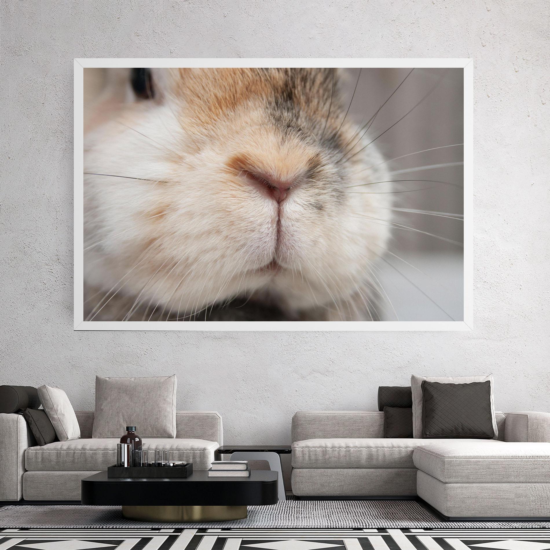 Leinwandbild Close Up Bunny mockup 2