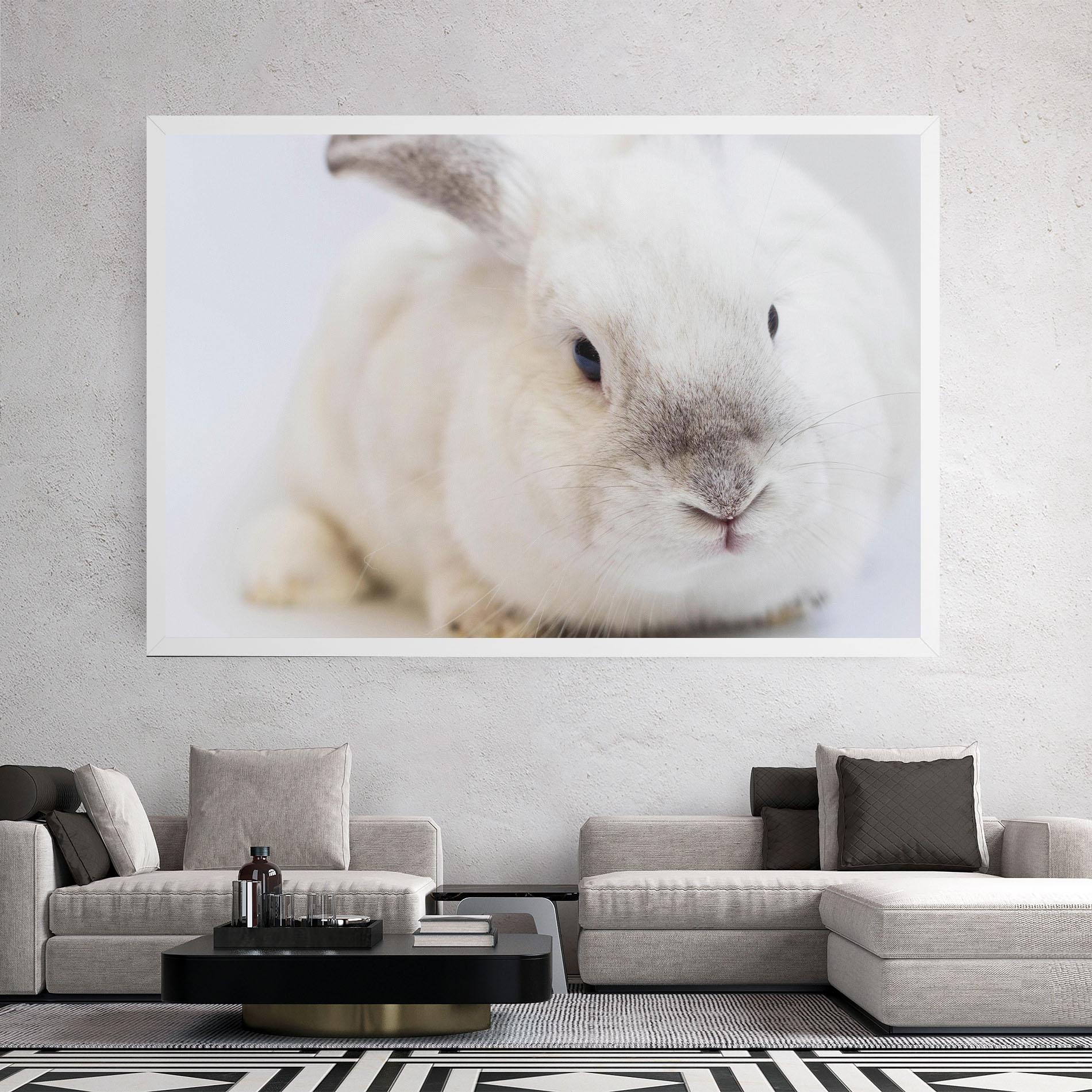 Leinwandbild Light Grey Bunny mockup 2