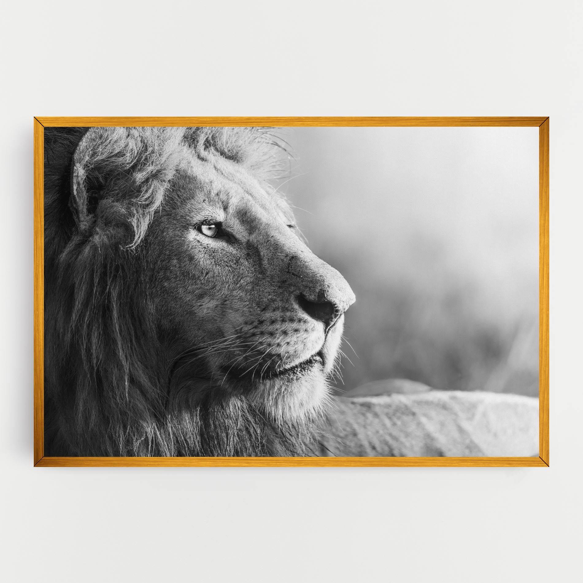 Grey Lion Head mockup 0