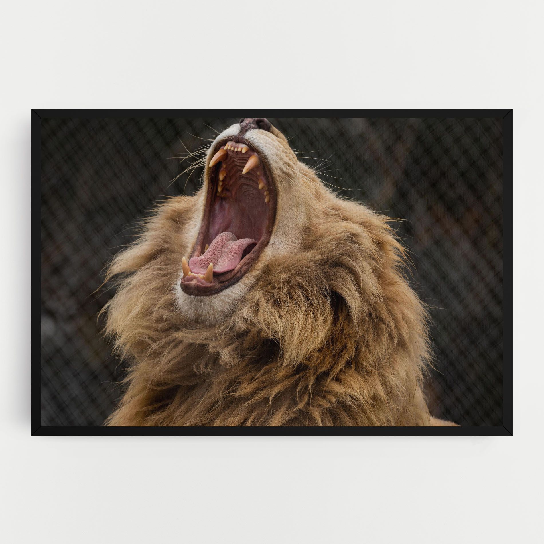Angry Lion mockup 0