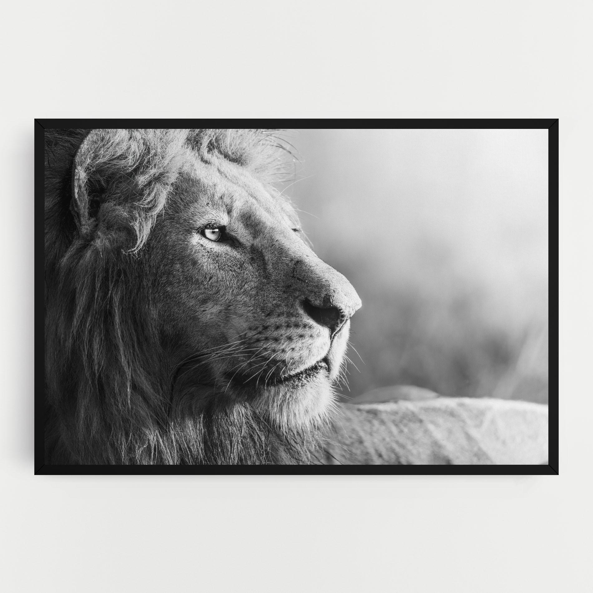 Leinwandbild Grey Lion Head mockup 0